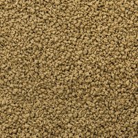 Immune Probiotic Granules 250 ml