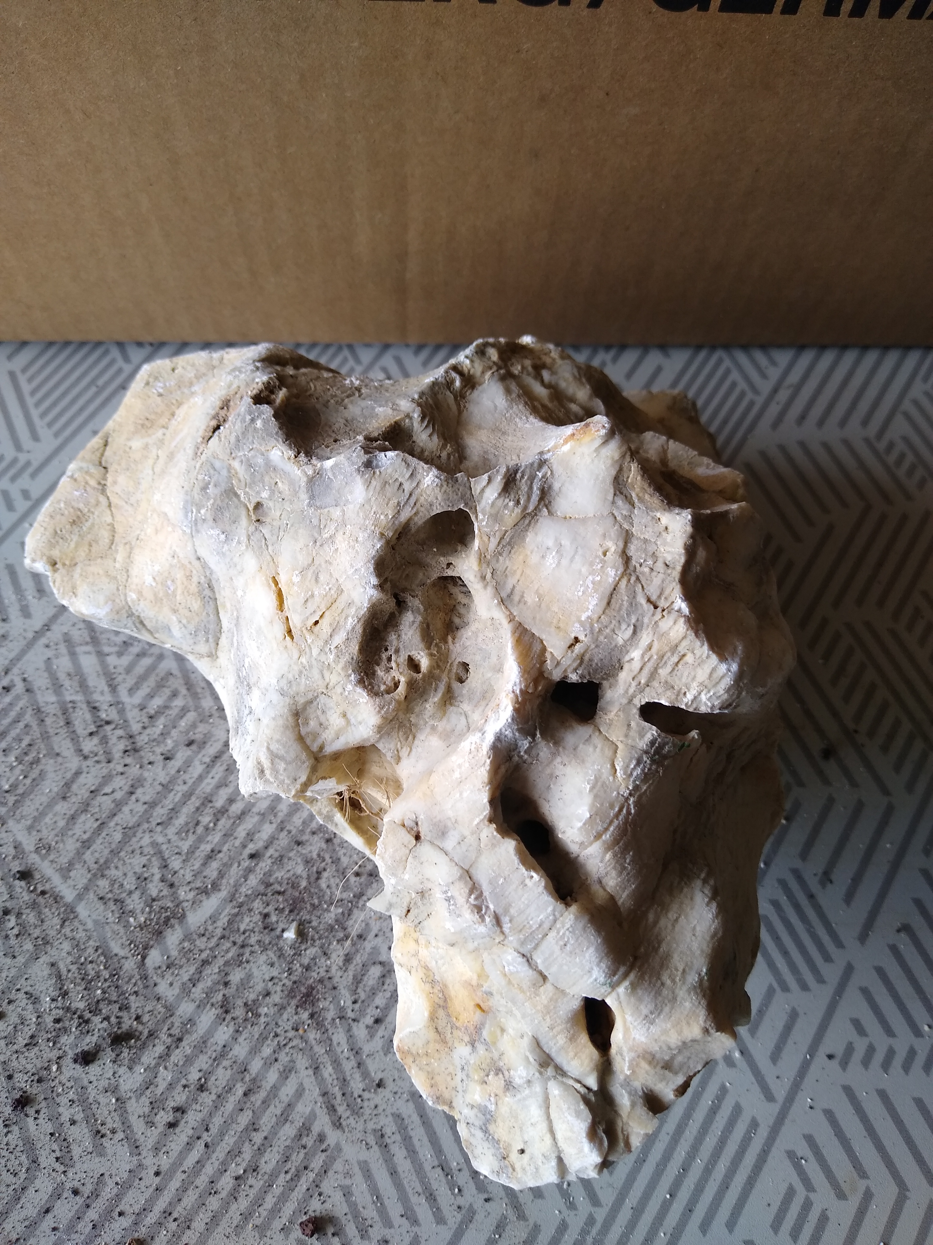 Rock Hole Stone L  Pierre 2