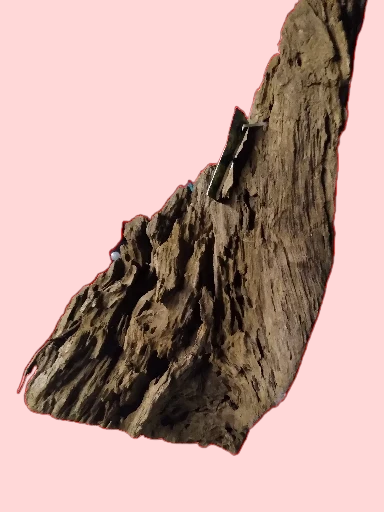 Racine Mangrove 40 à 60 cm - Racine 2