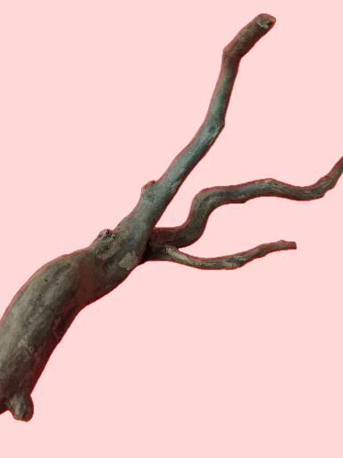 Sera Scaper Root 30-35 cm Racine 3