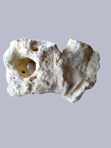 Rock Hole Stone S/M  Pierre 2