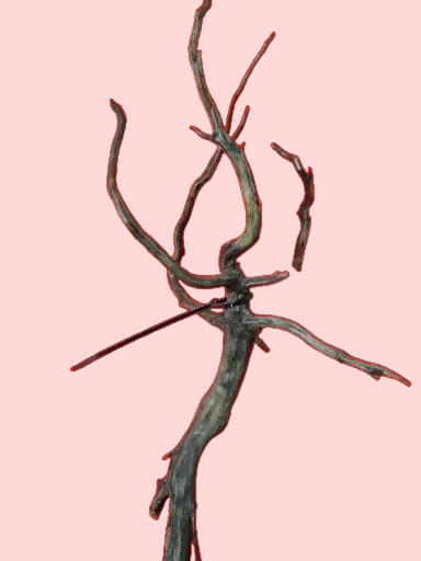 Scaper Root S 25-30 cm Racine 7