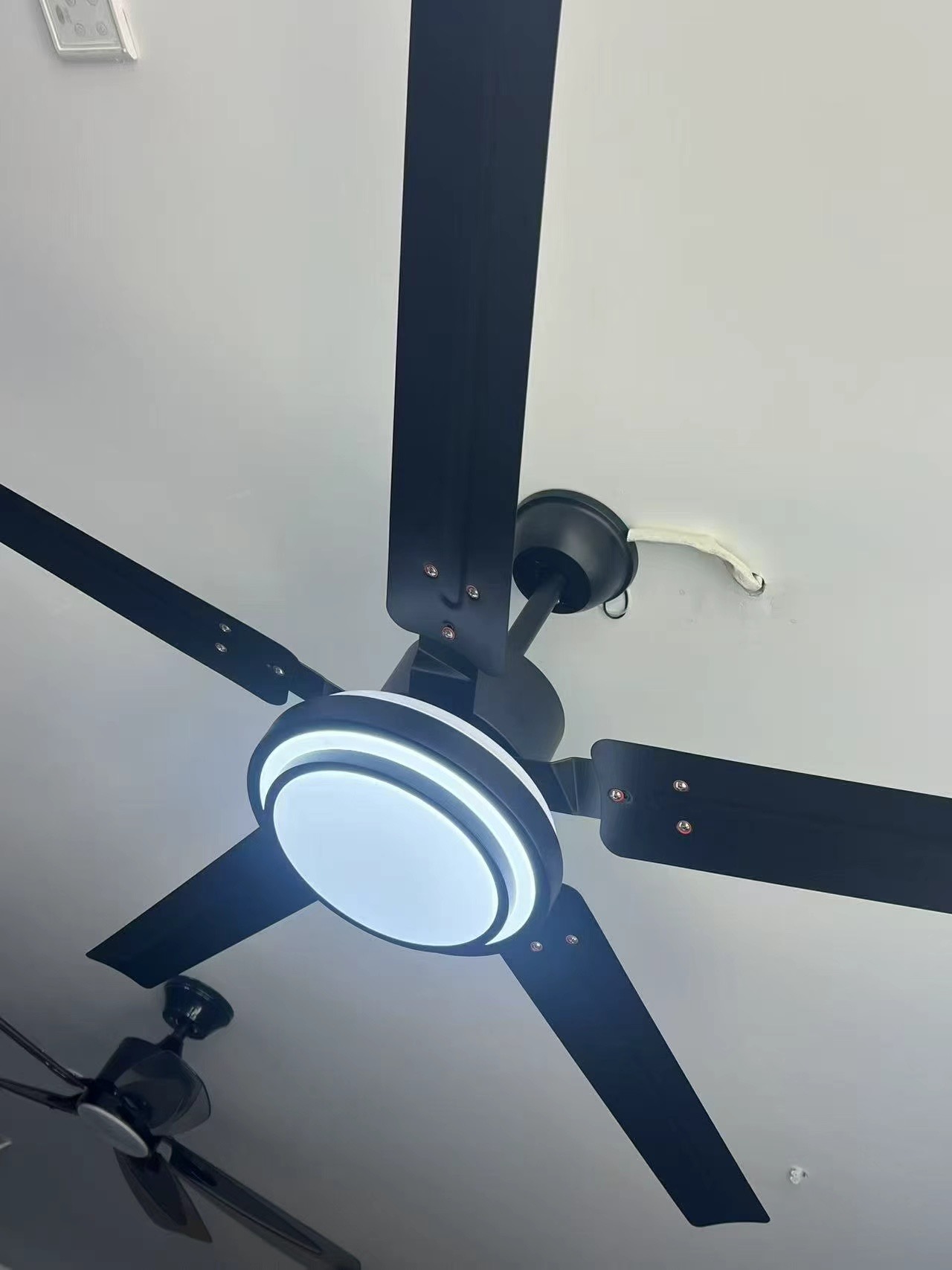 Modern Ceiling Fan with LED Light