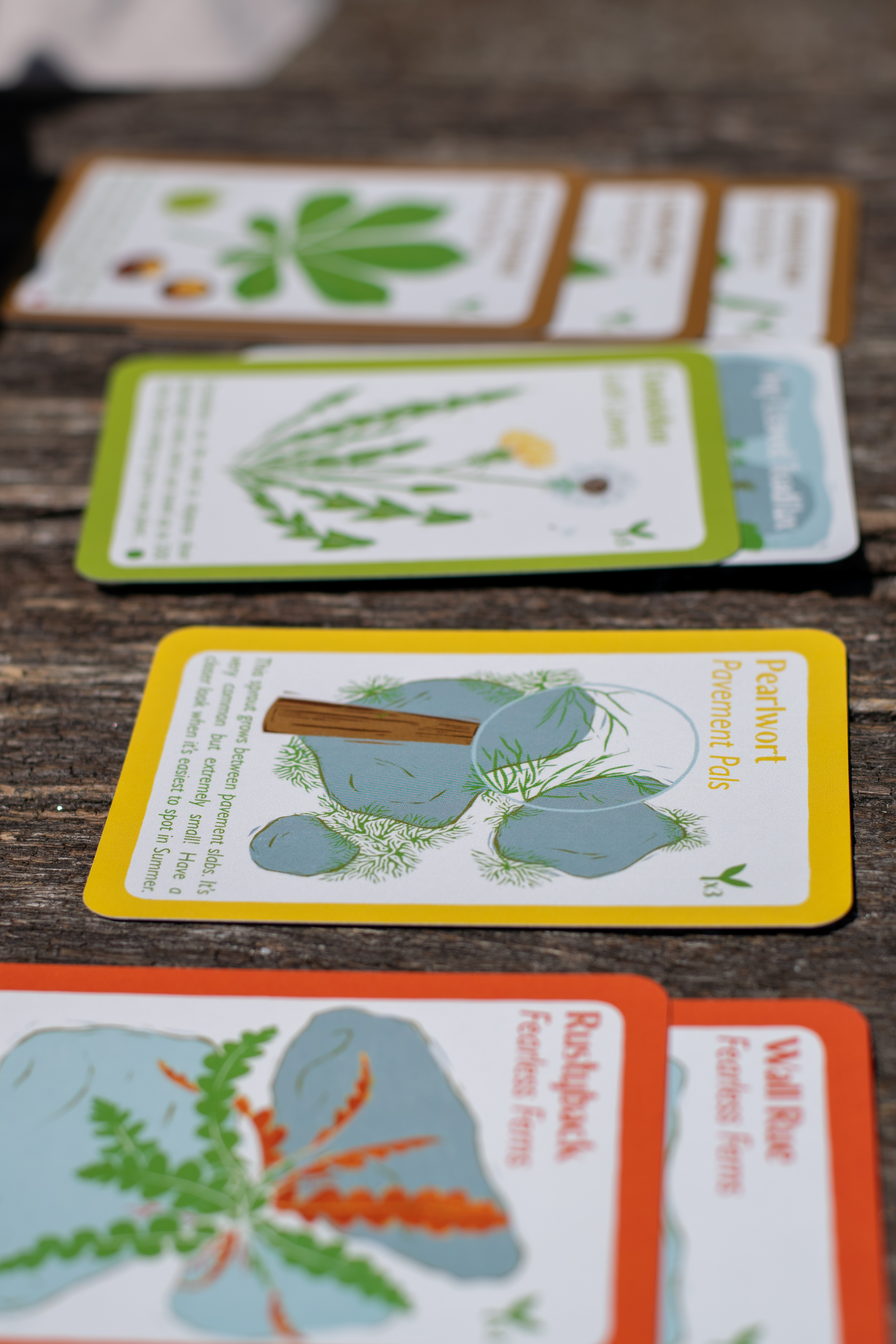 Pre-Order CitySprout