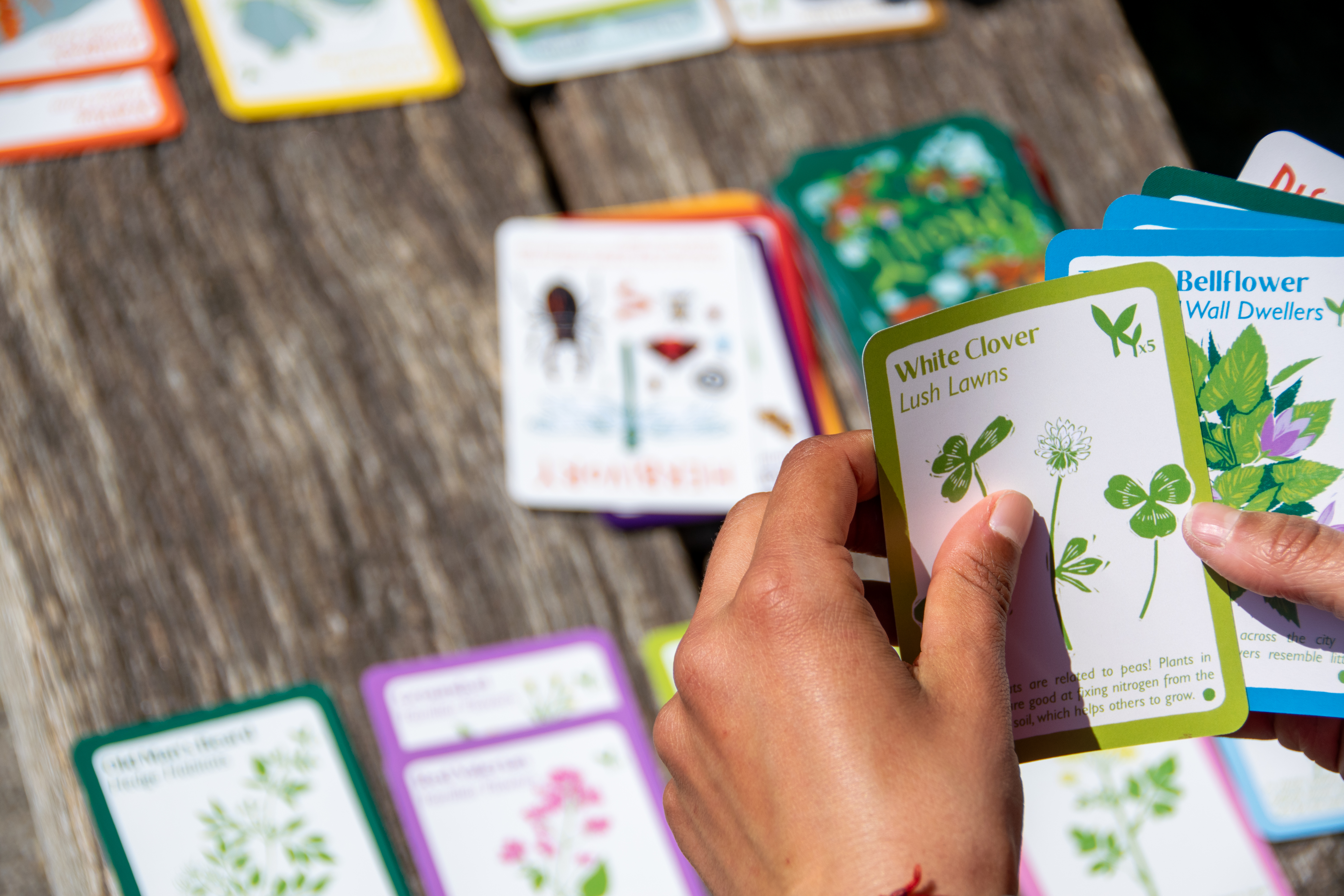 Pre-Order CitySprout