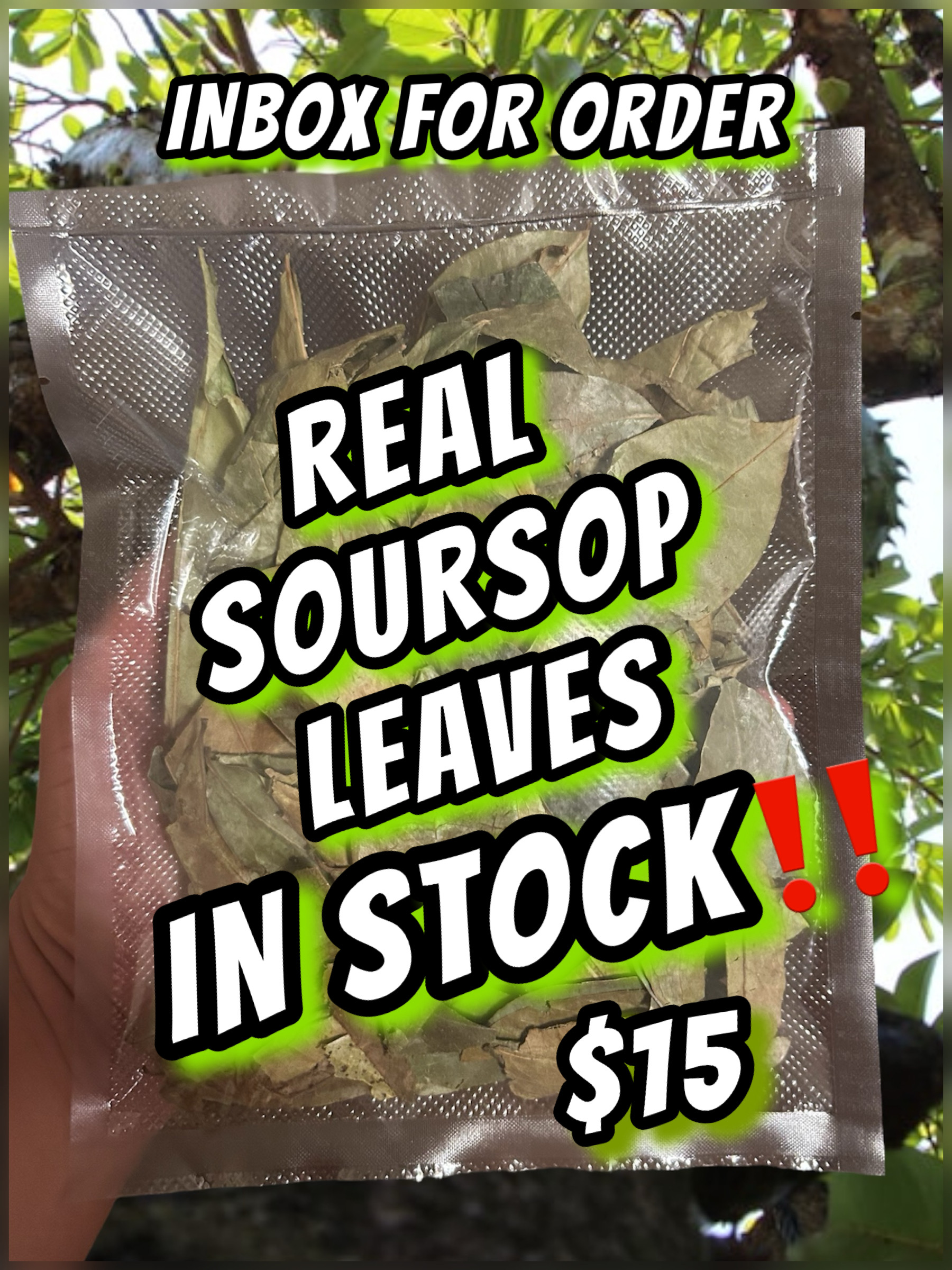 Real Soursop Leaves Bag