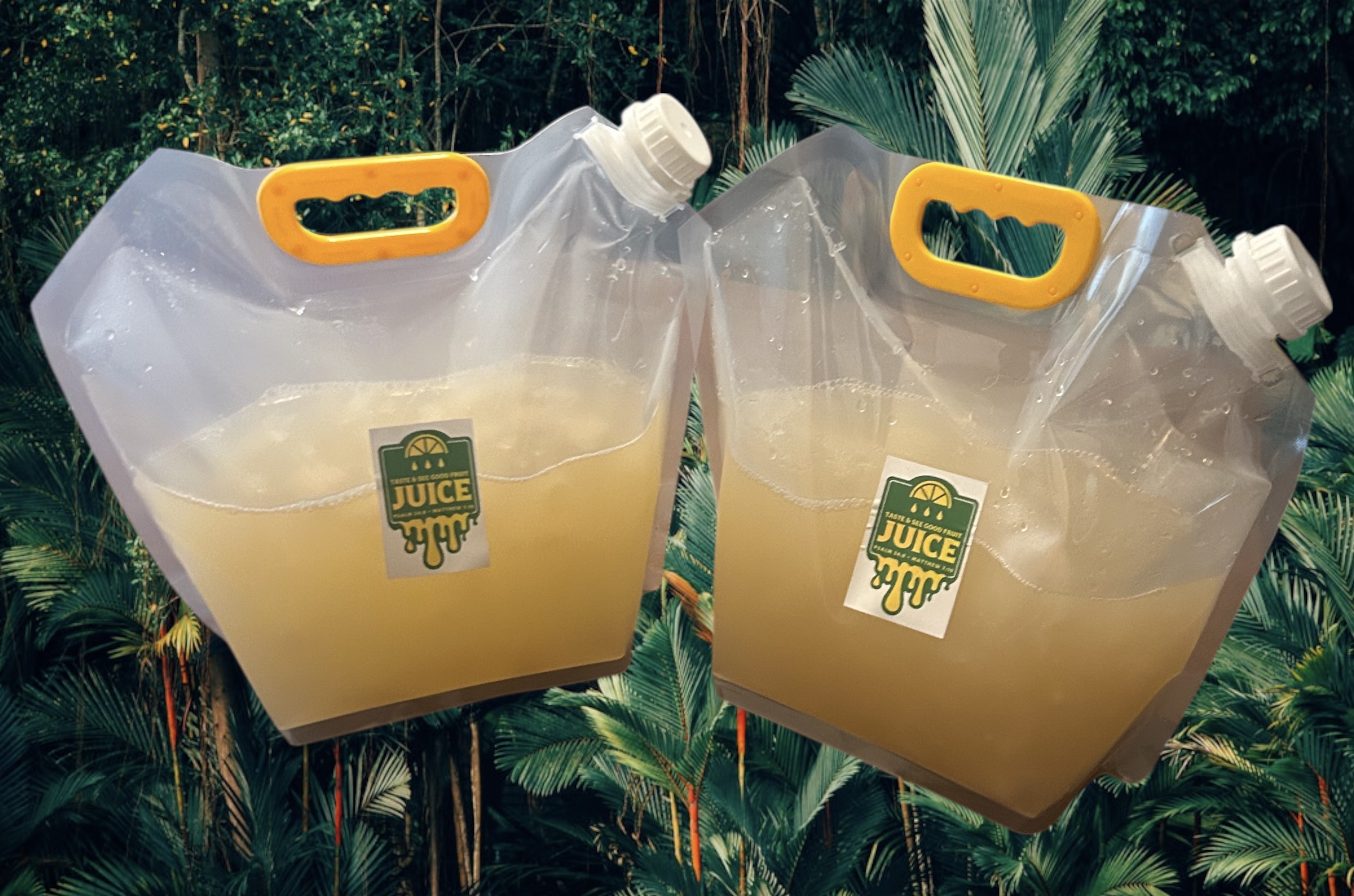 Whole Gallon of Soursop Juice 