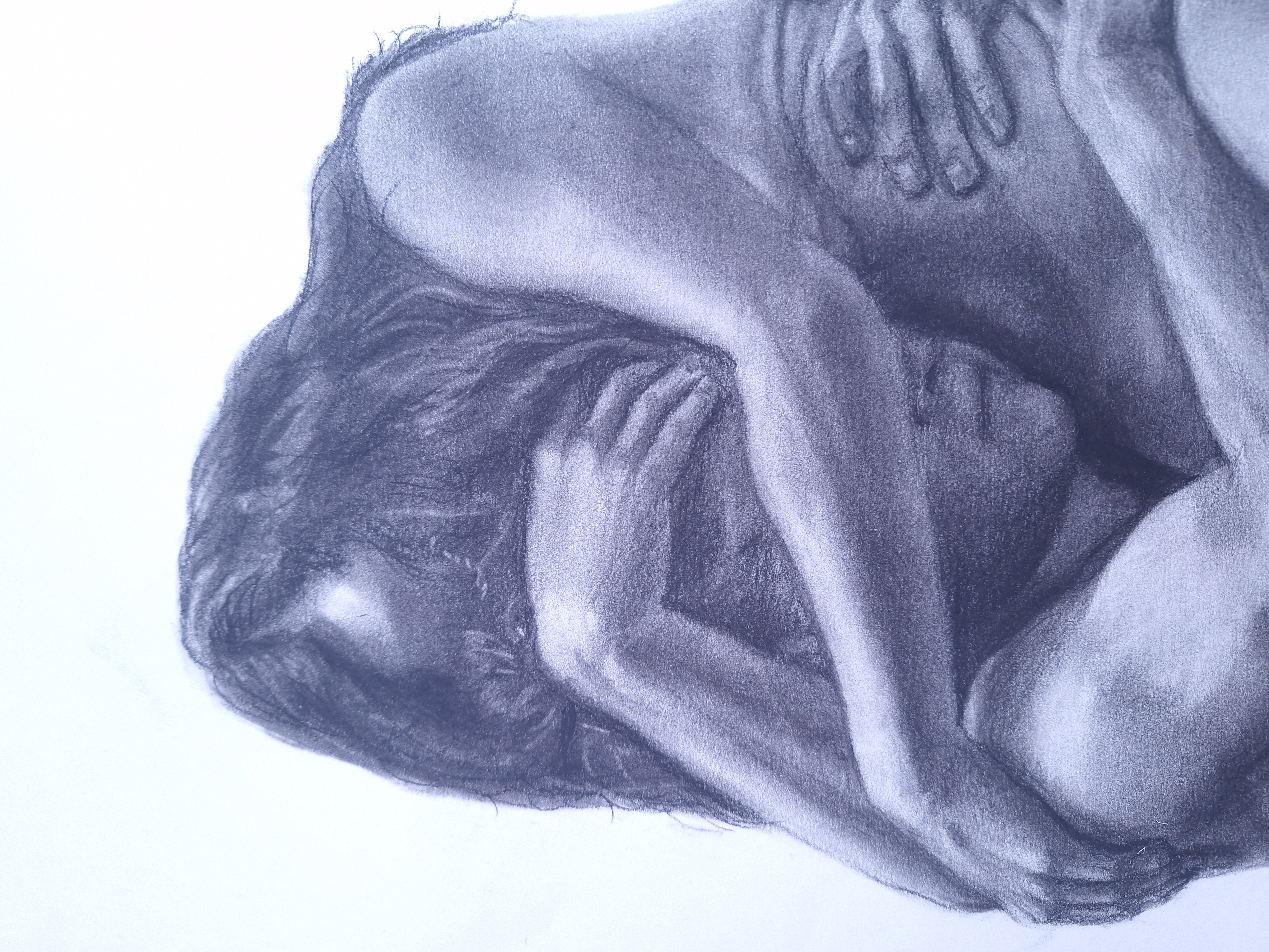 Vulnerables