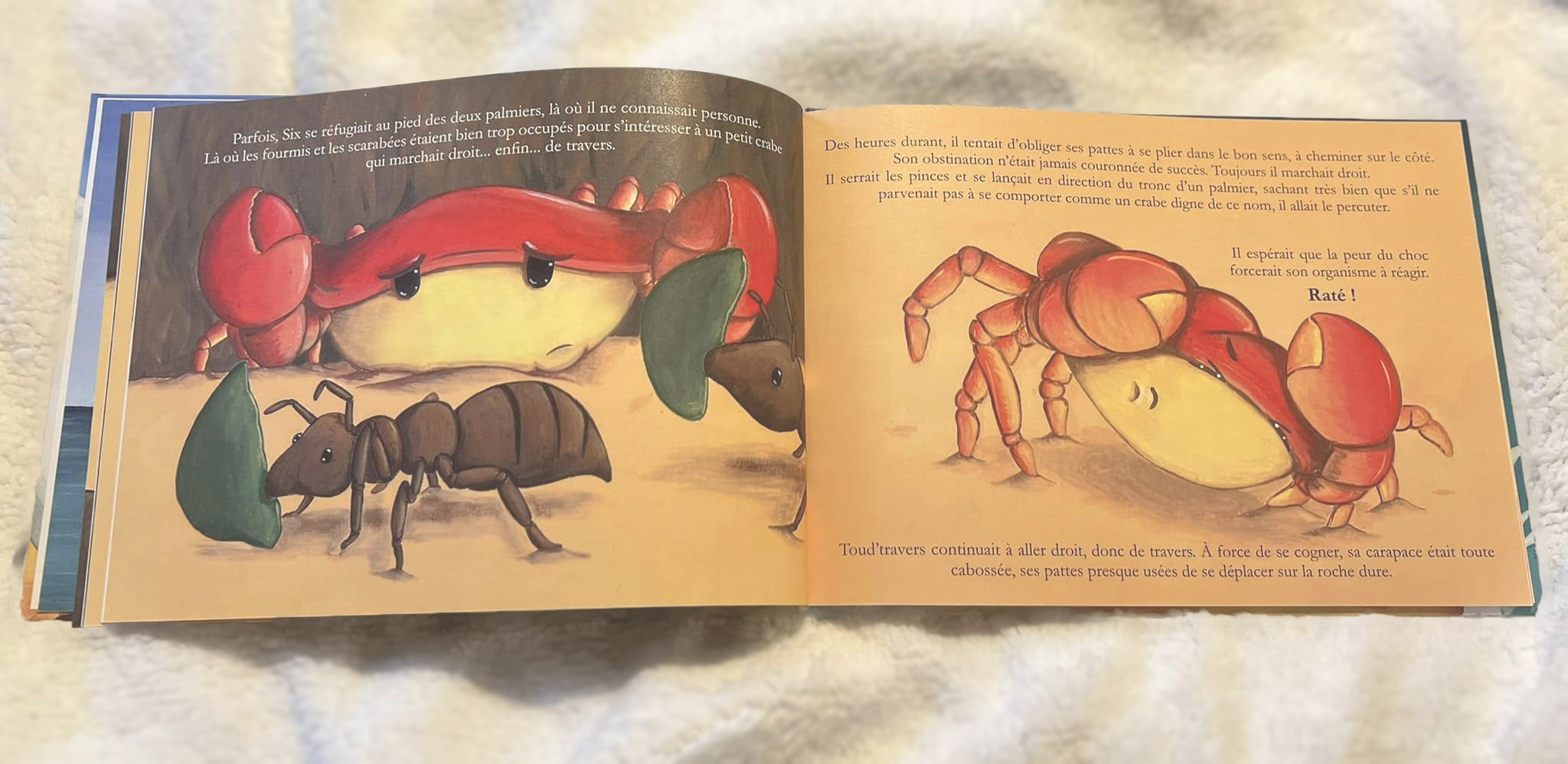 L'histoire du crabe qui marchait tout droit