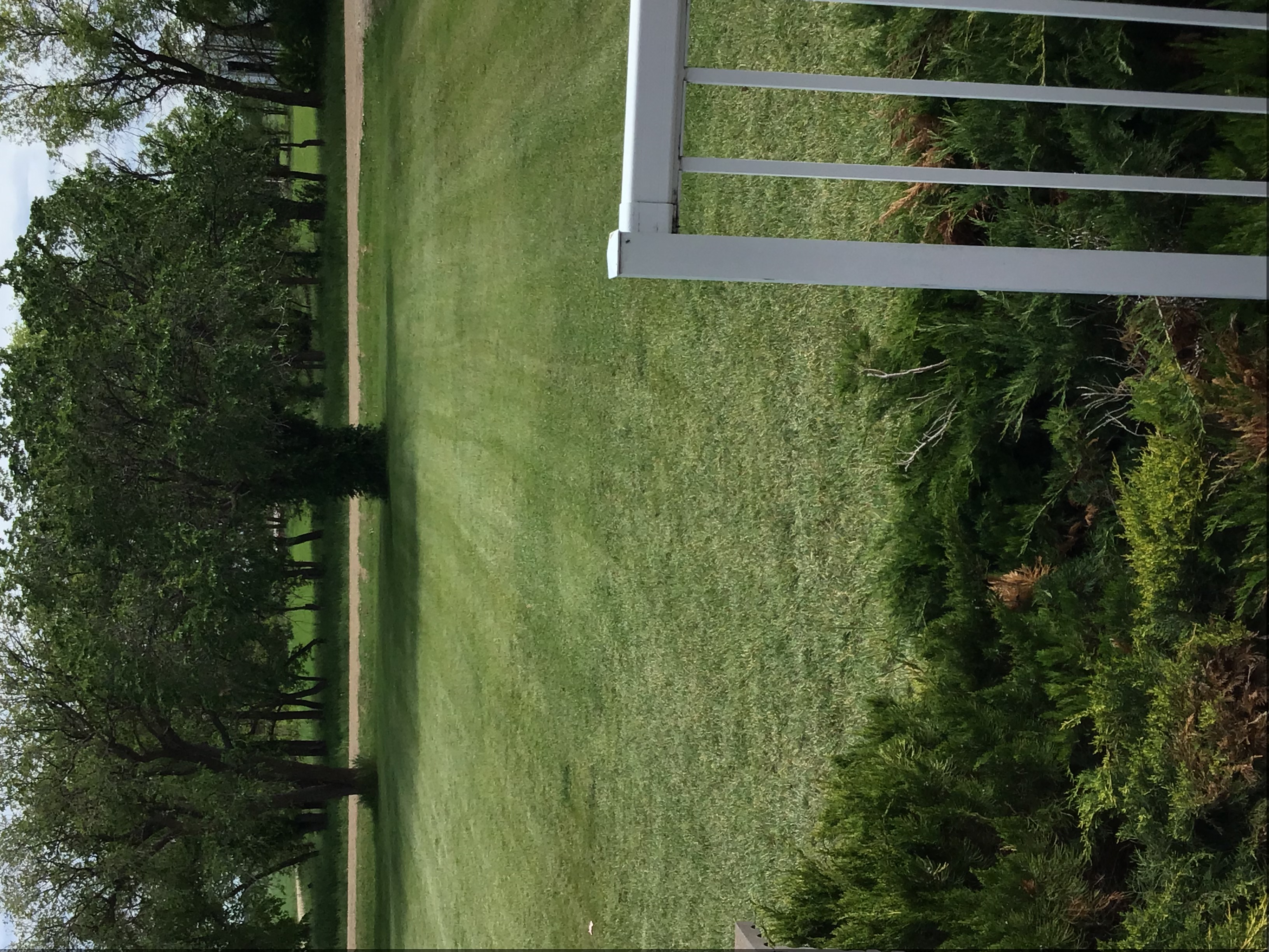 Green Grove Lawn's Basic Plan