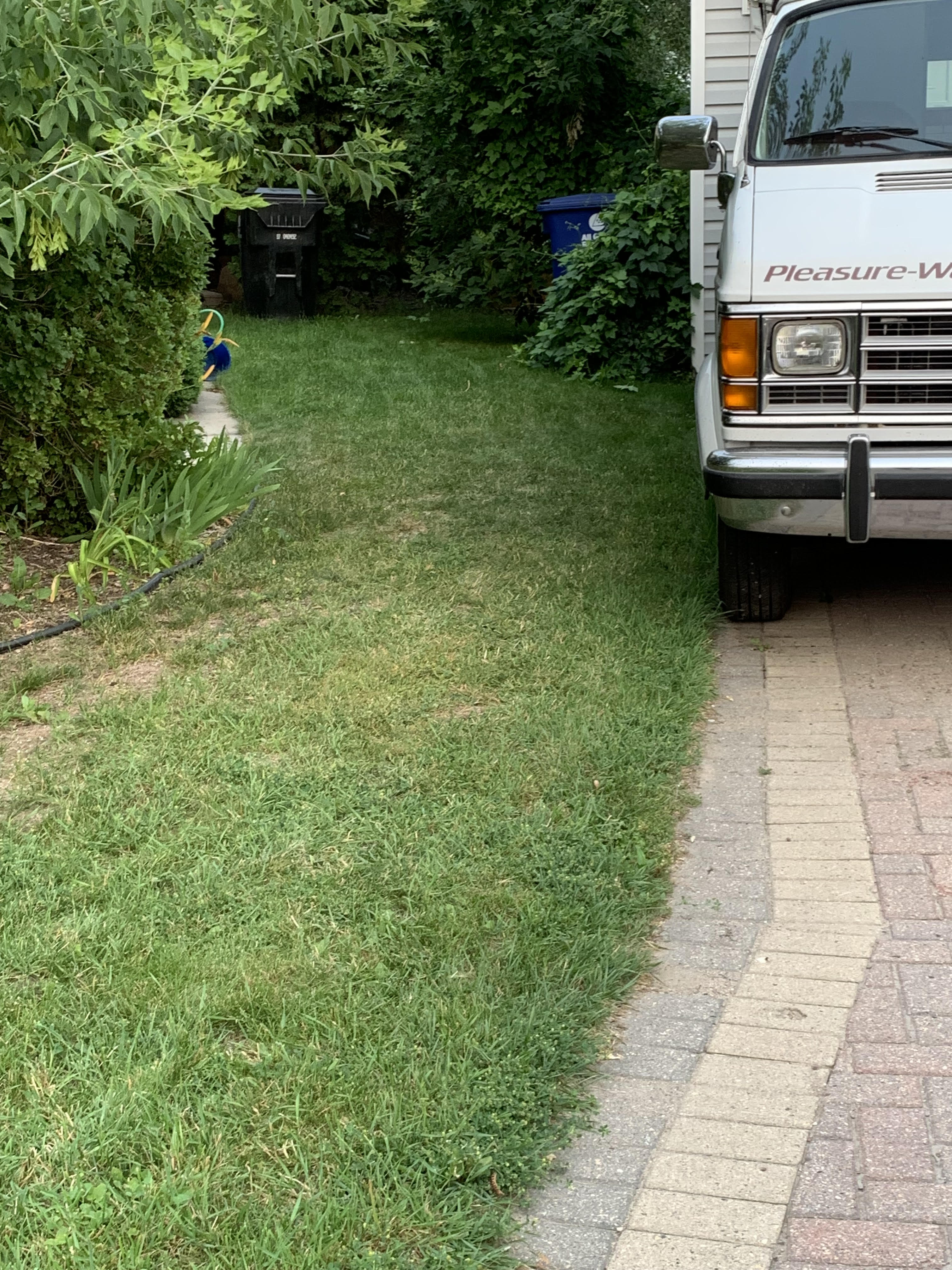 Green Grove Lawn's Basic Plan