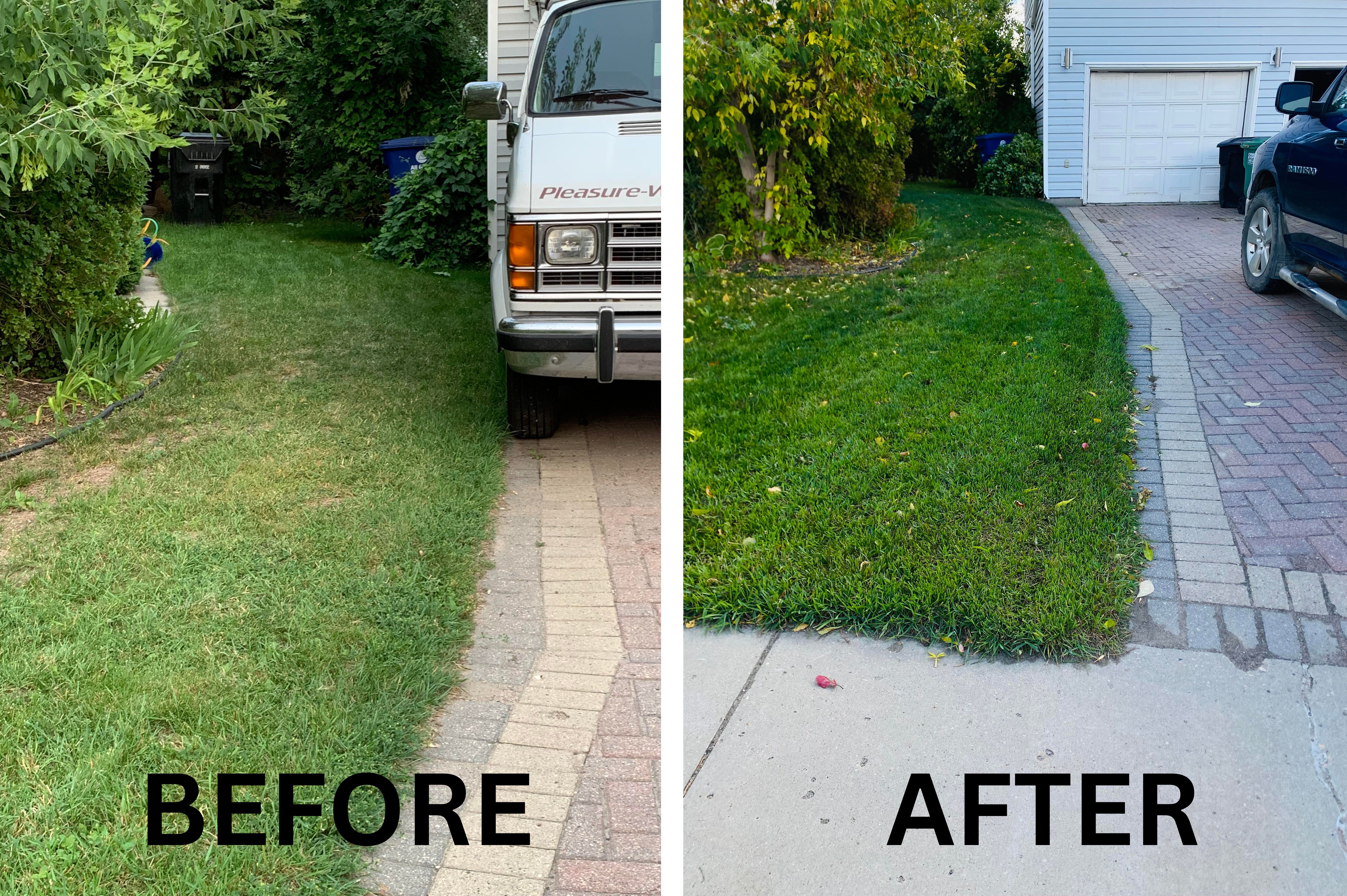 Green Grove Lawn's Deluxe plan