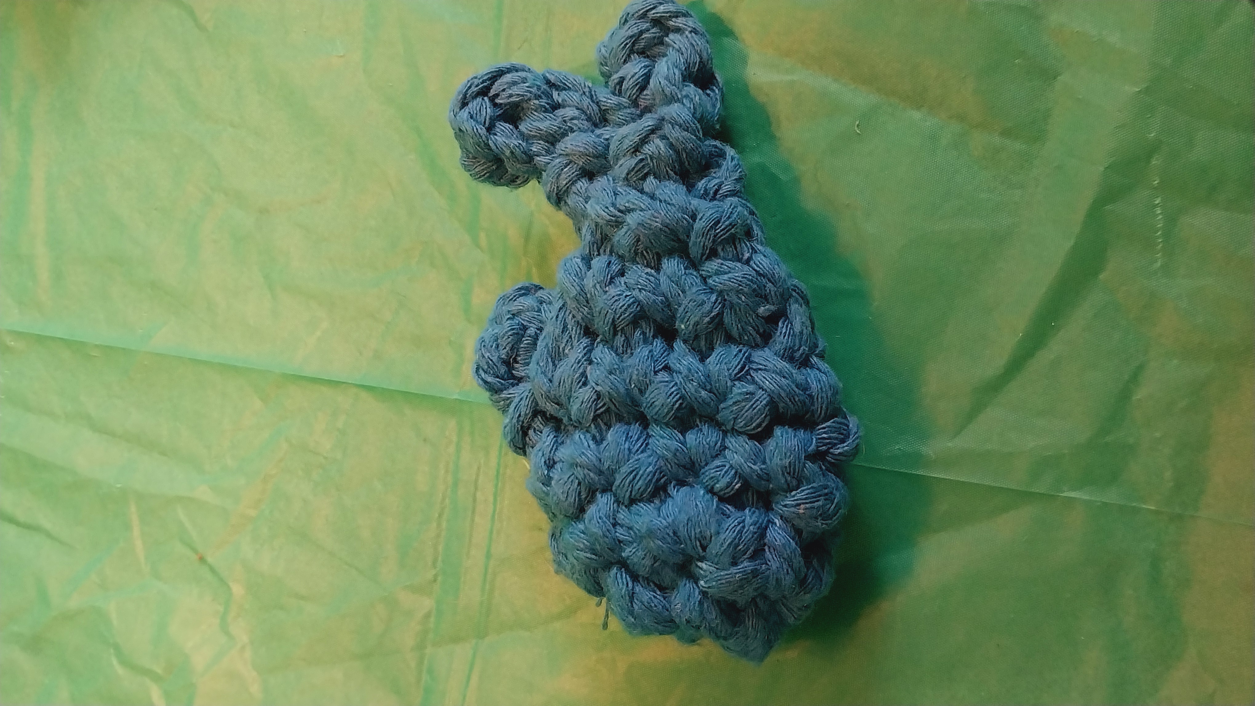 Fish Chew Toy