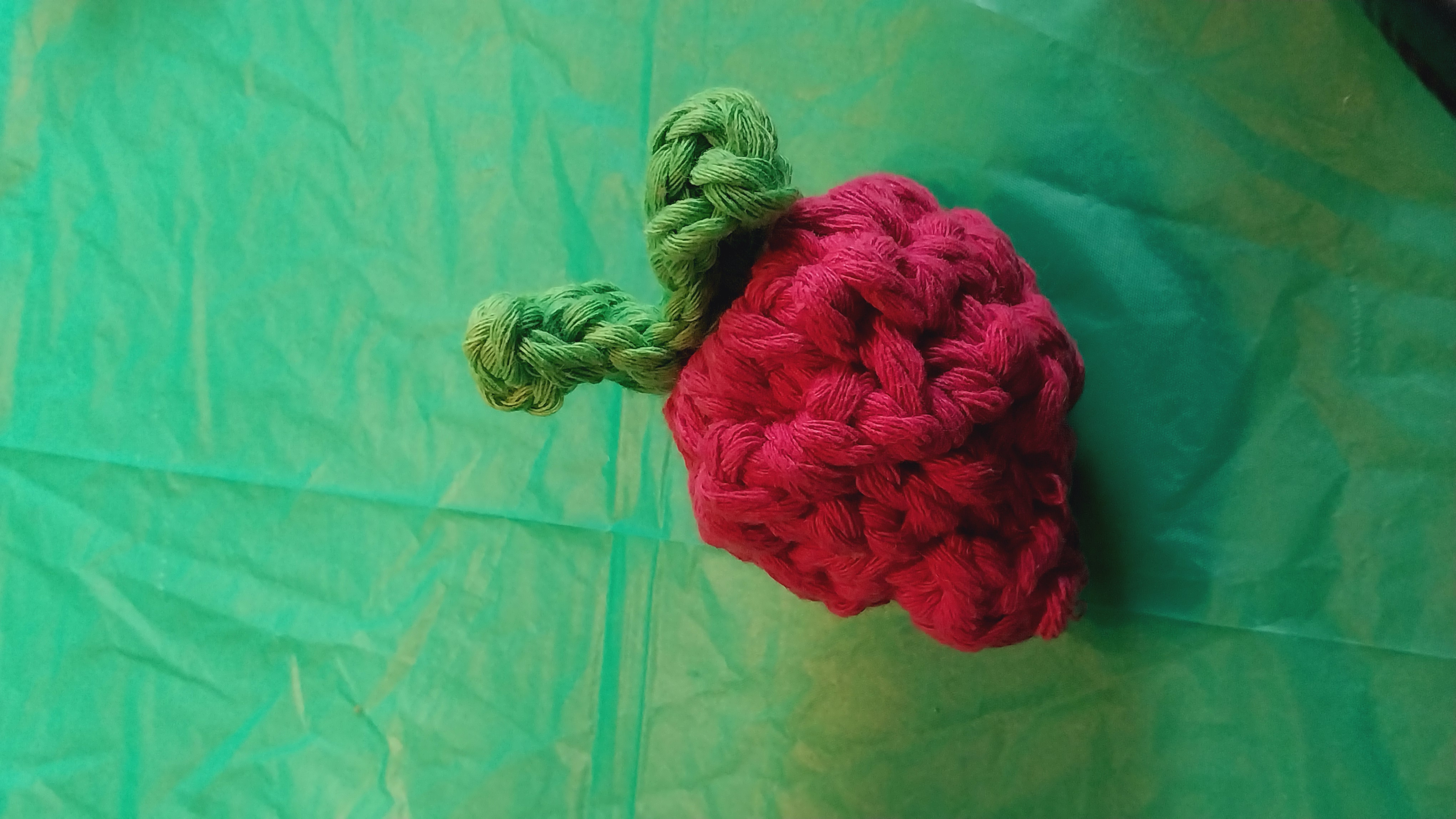 Strawberry Chew Toy