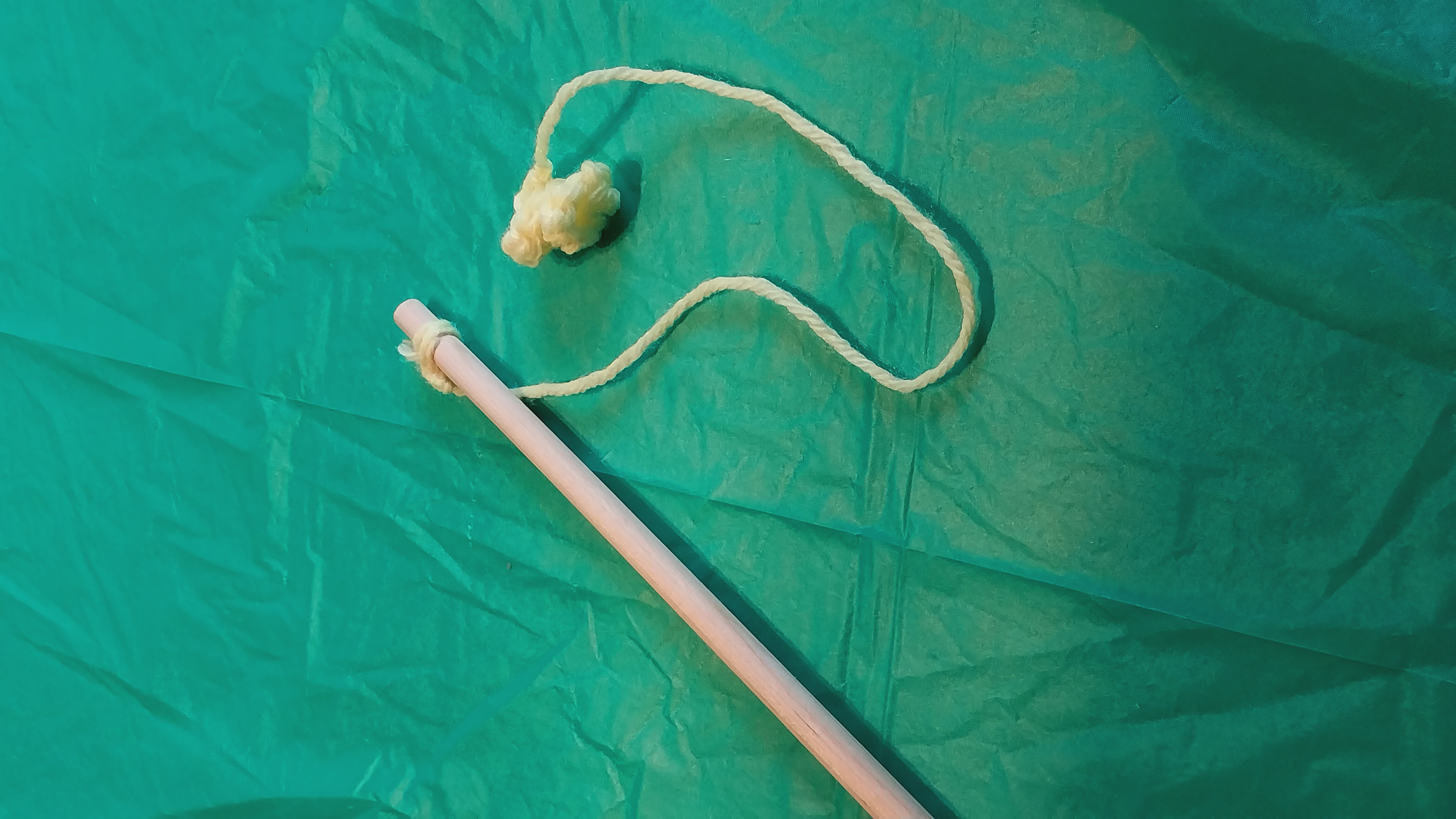 Cat Chaser Wand
