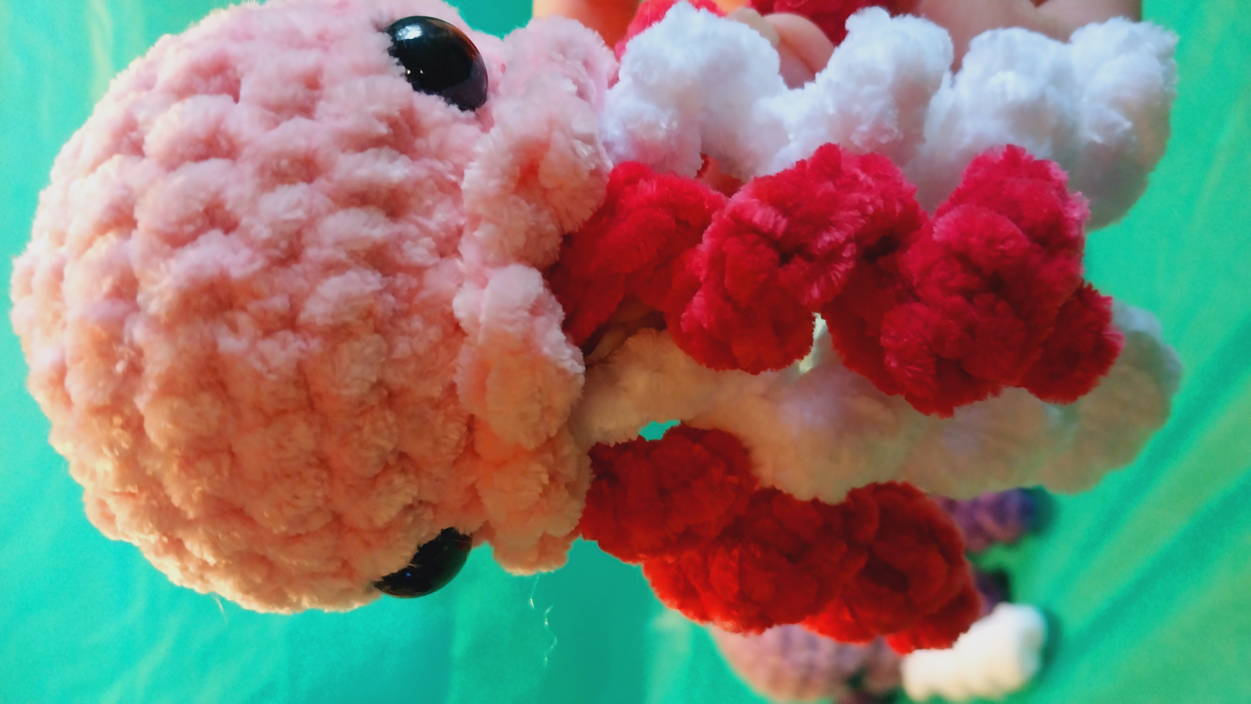 Cute Jelly Fish