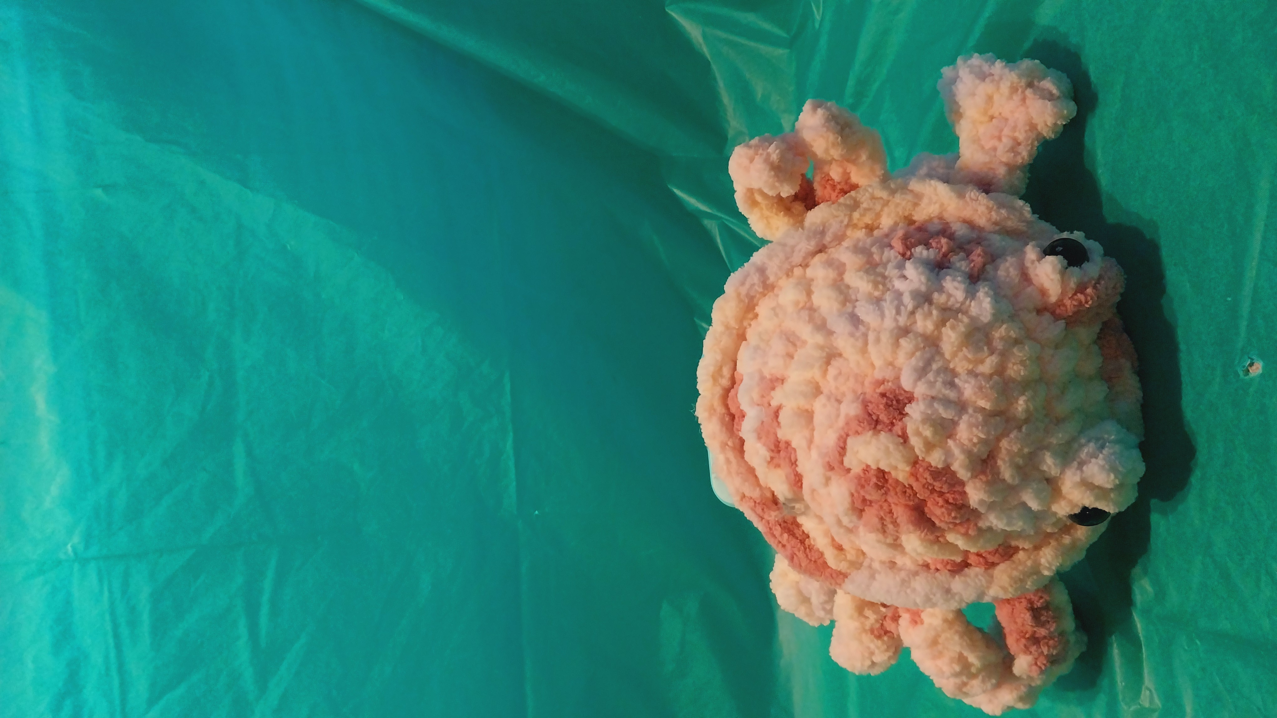 Crab