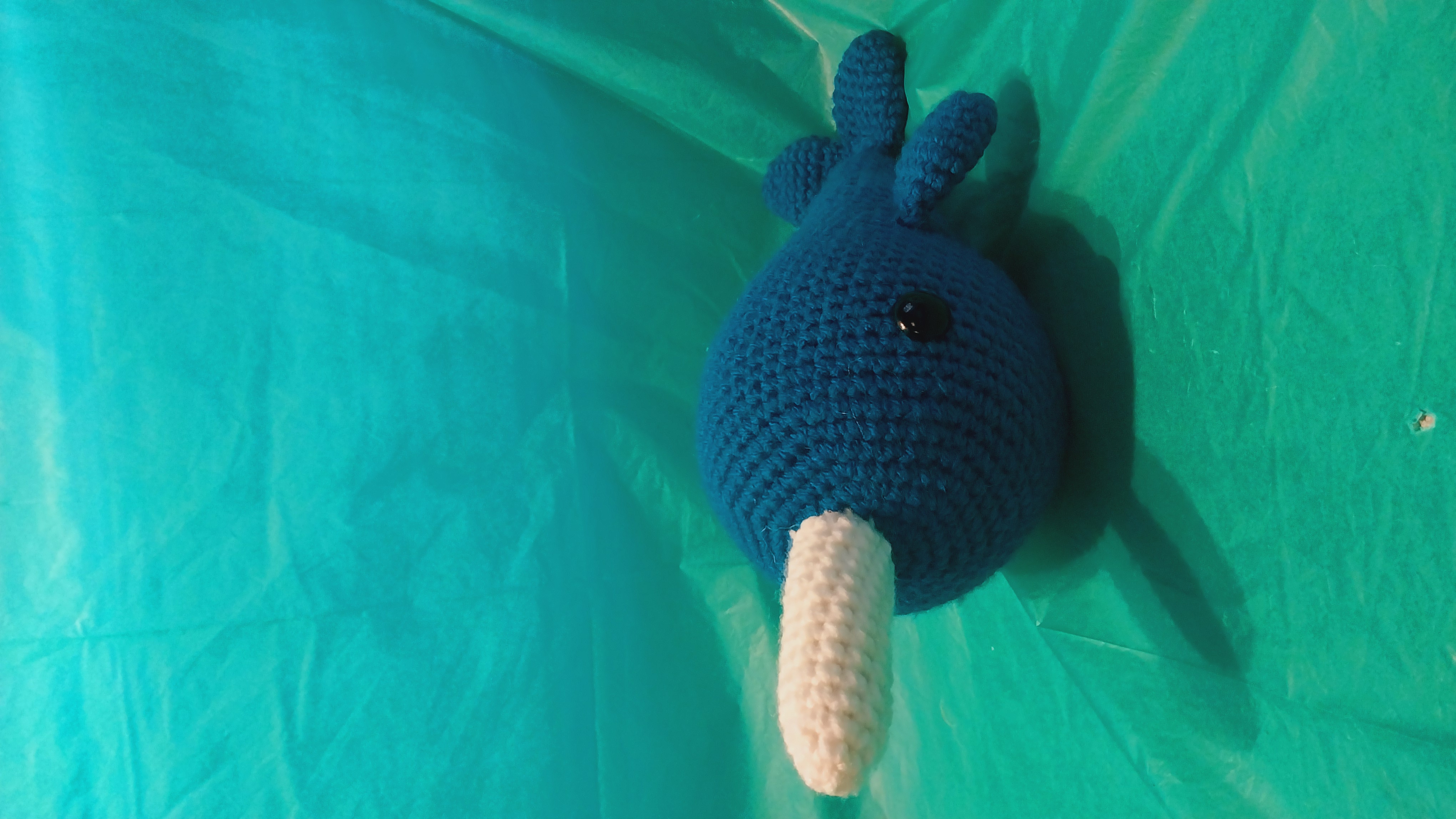 Narwhal