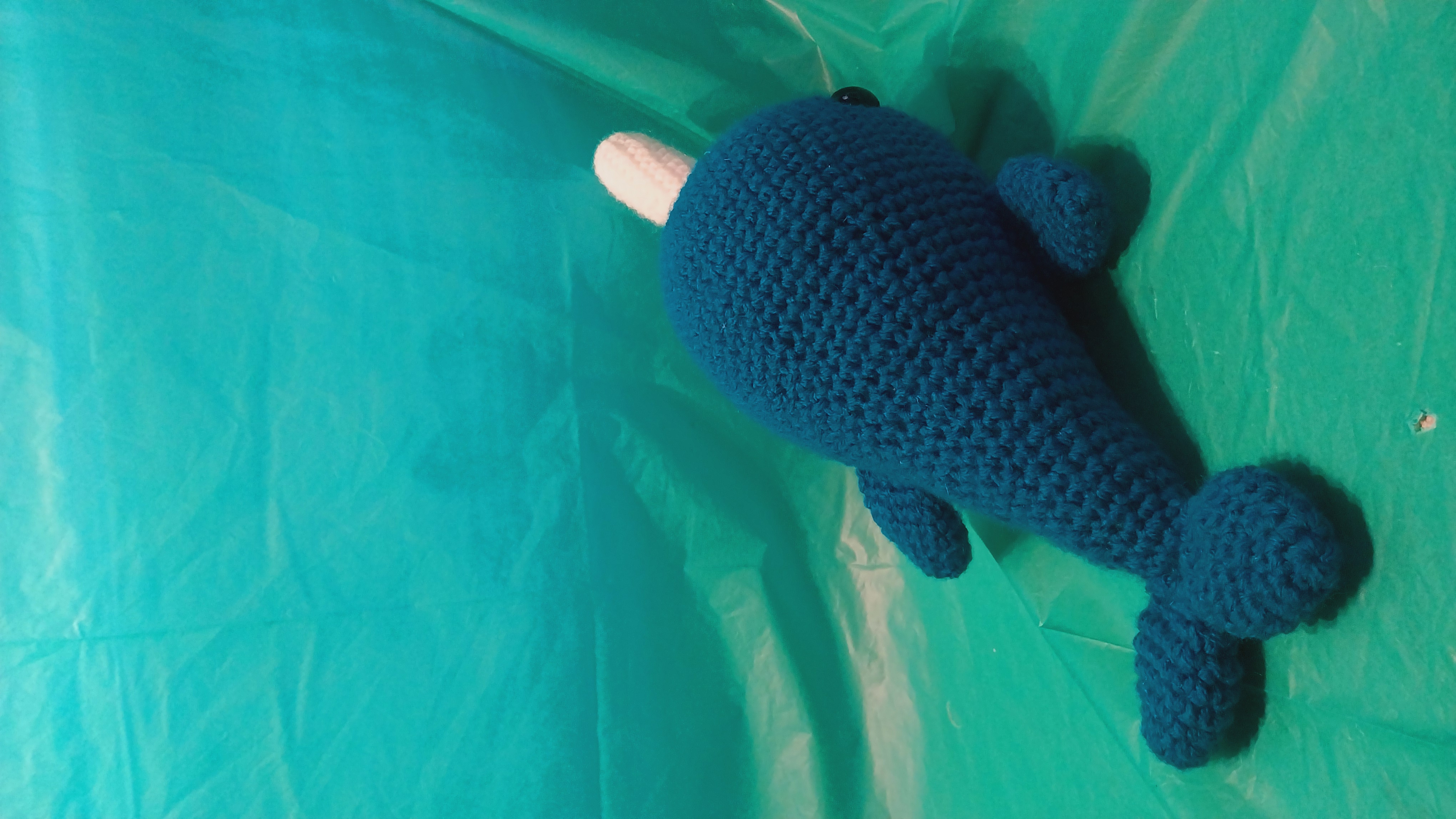 Narwhal