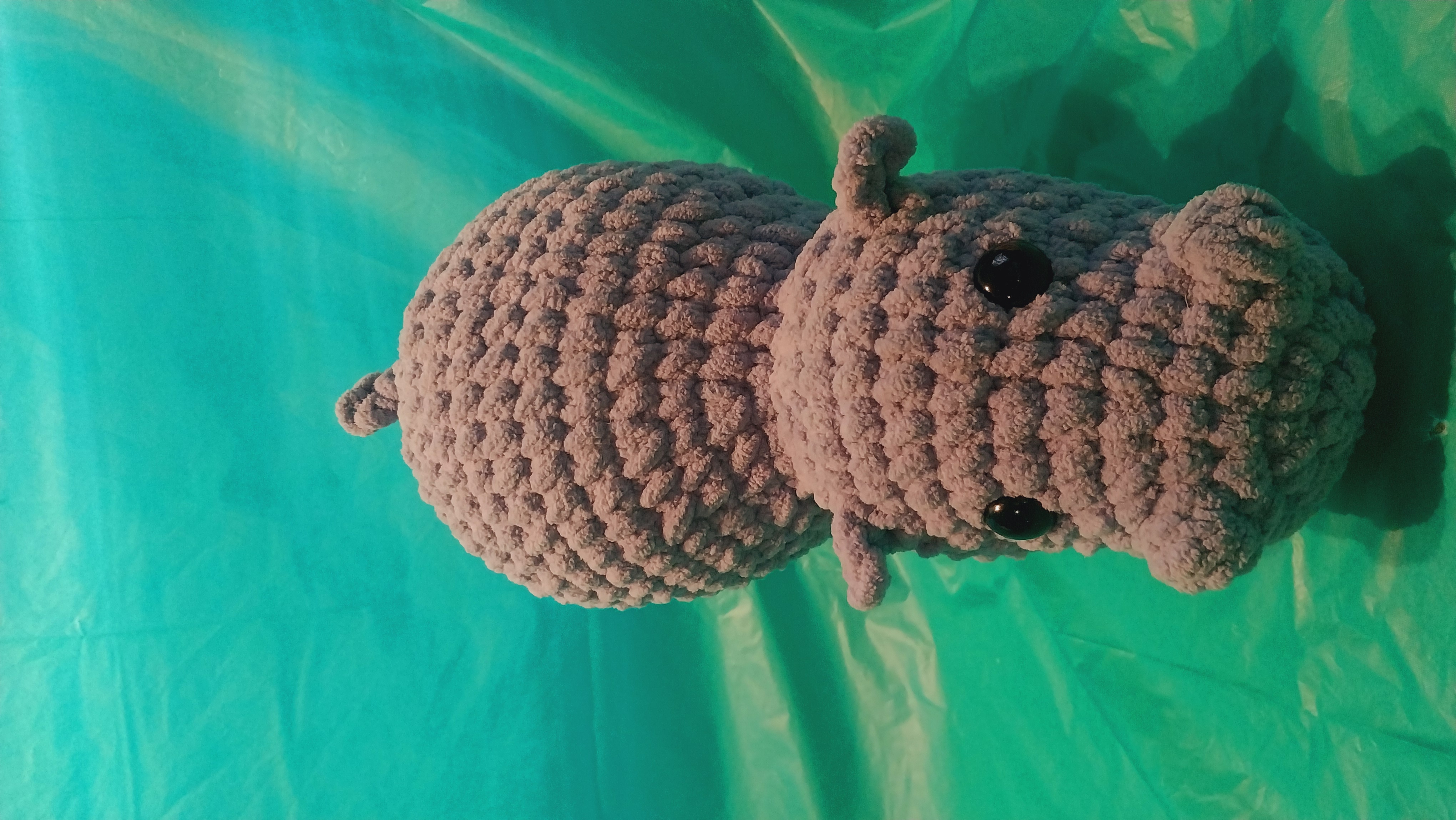 Hippos