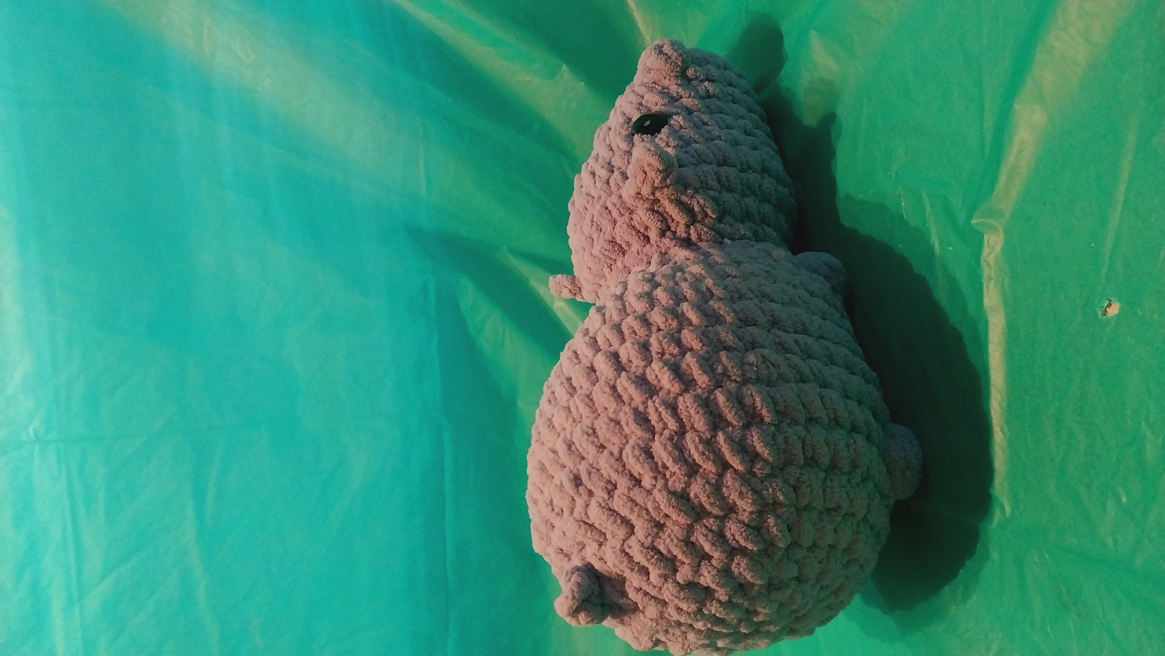 Hippos