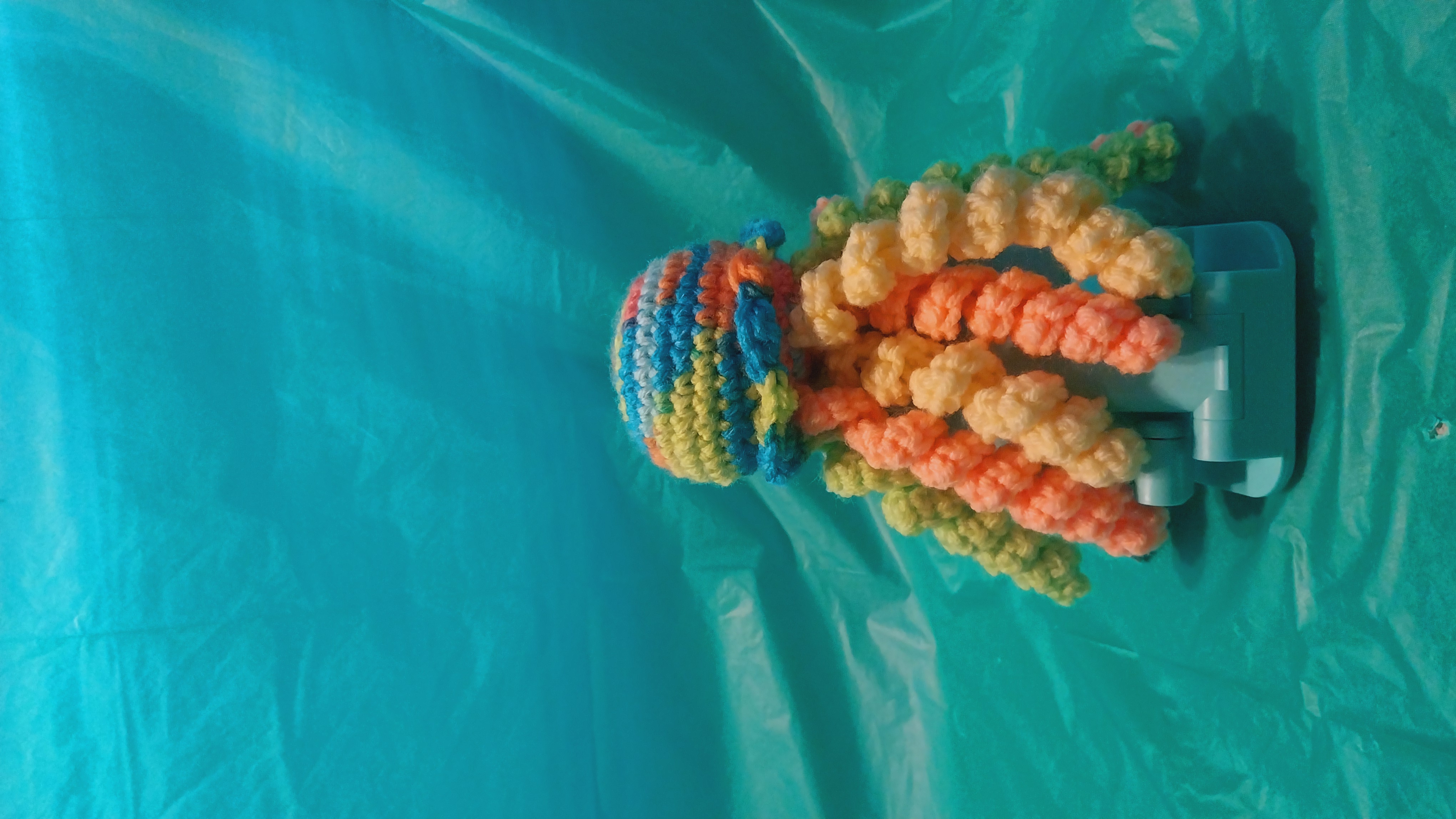 Jelly Fish