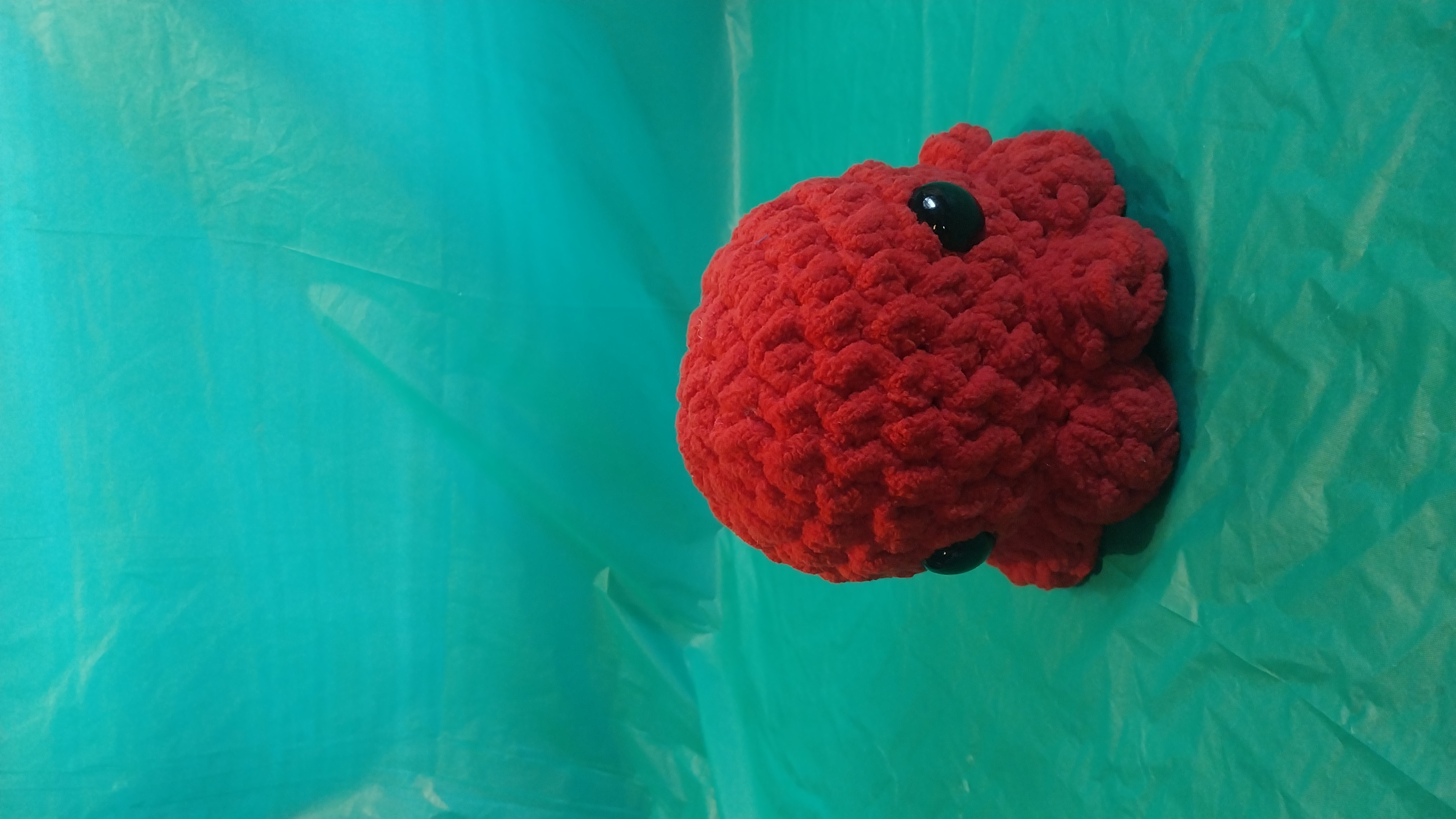 Octo