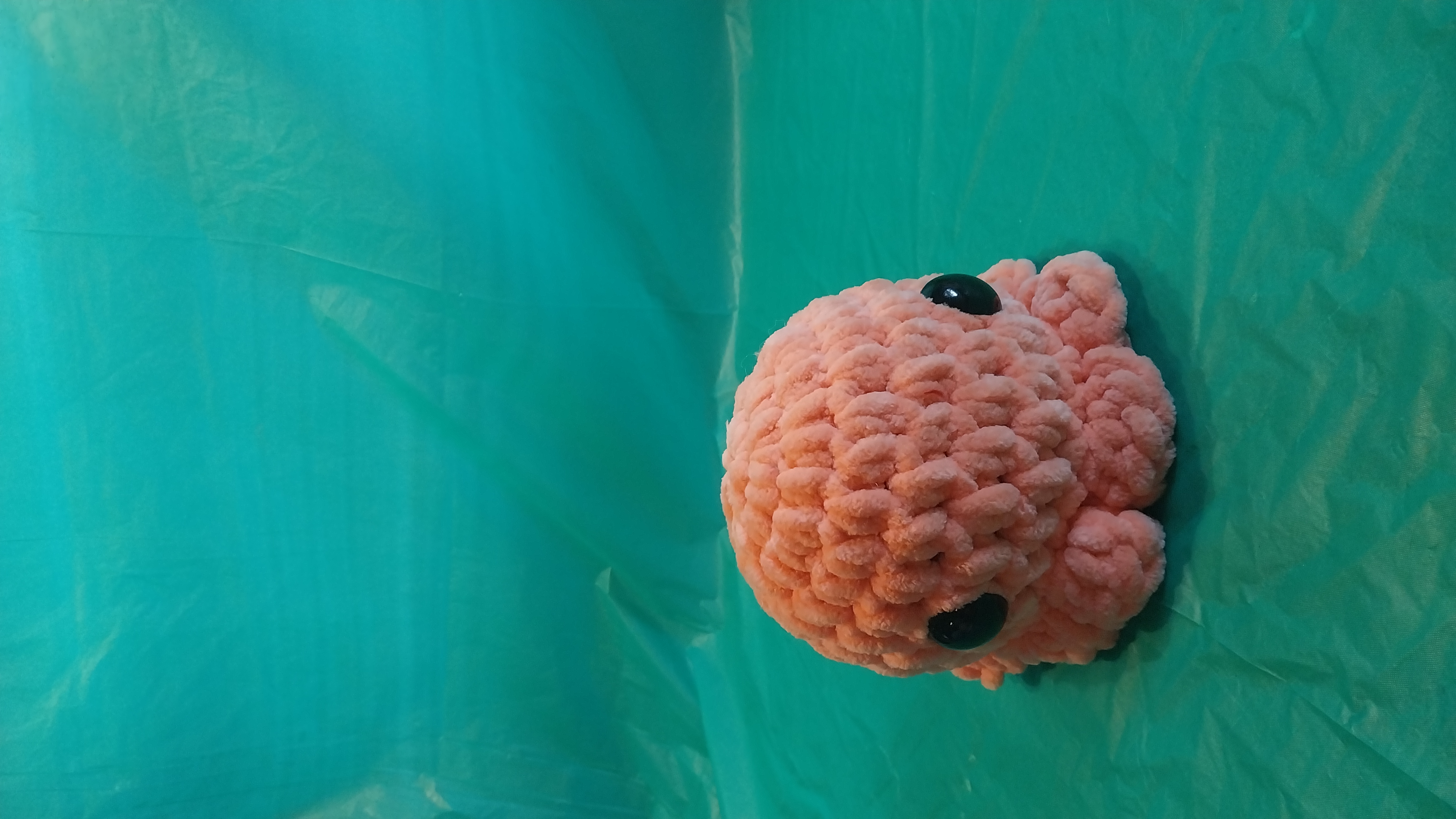 Octo
