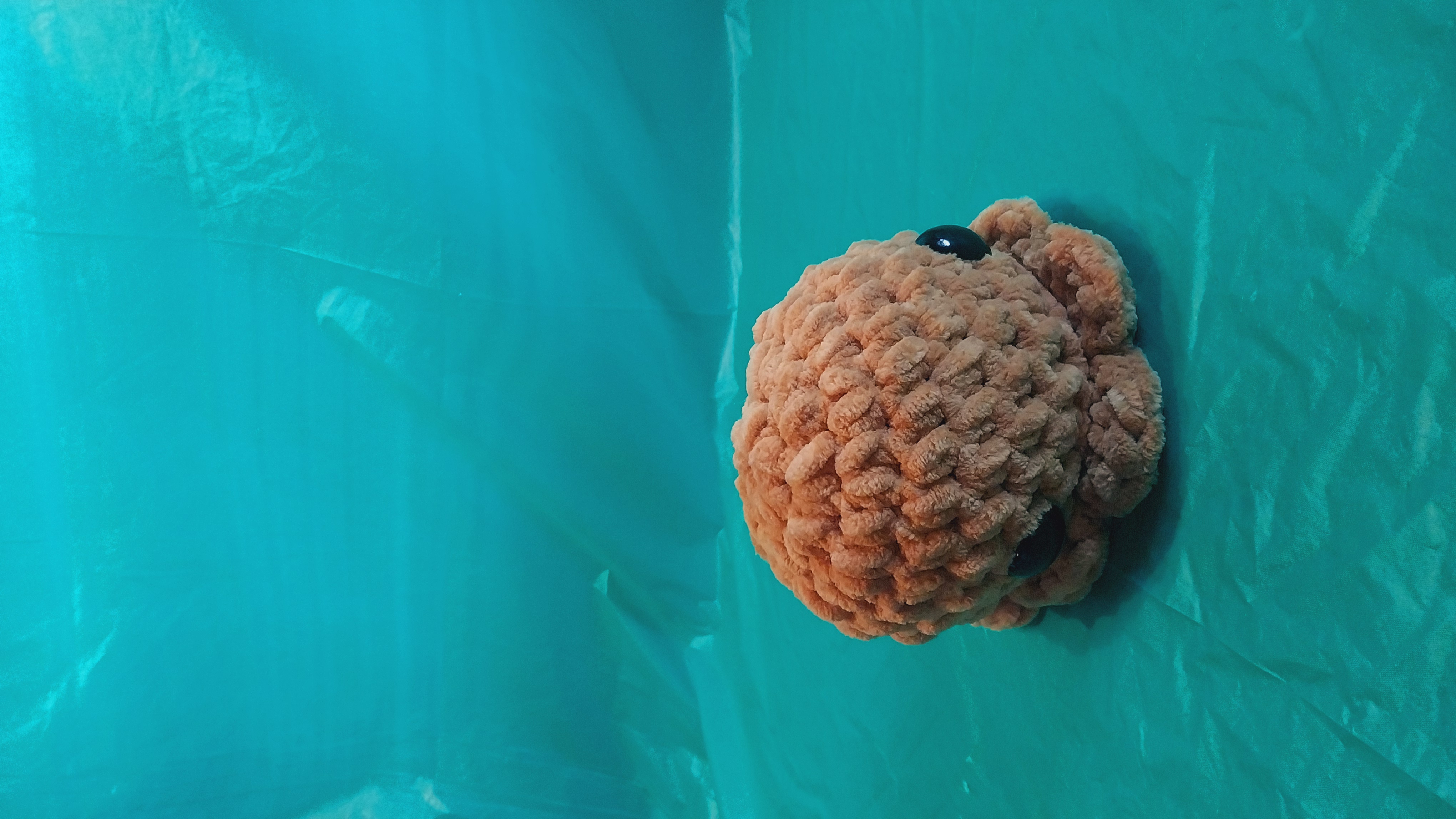 Octo