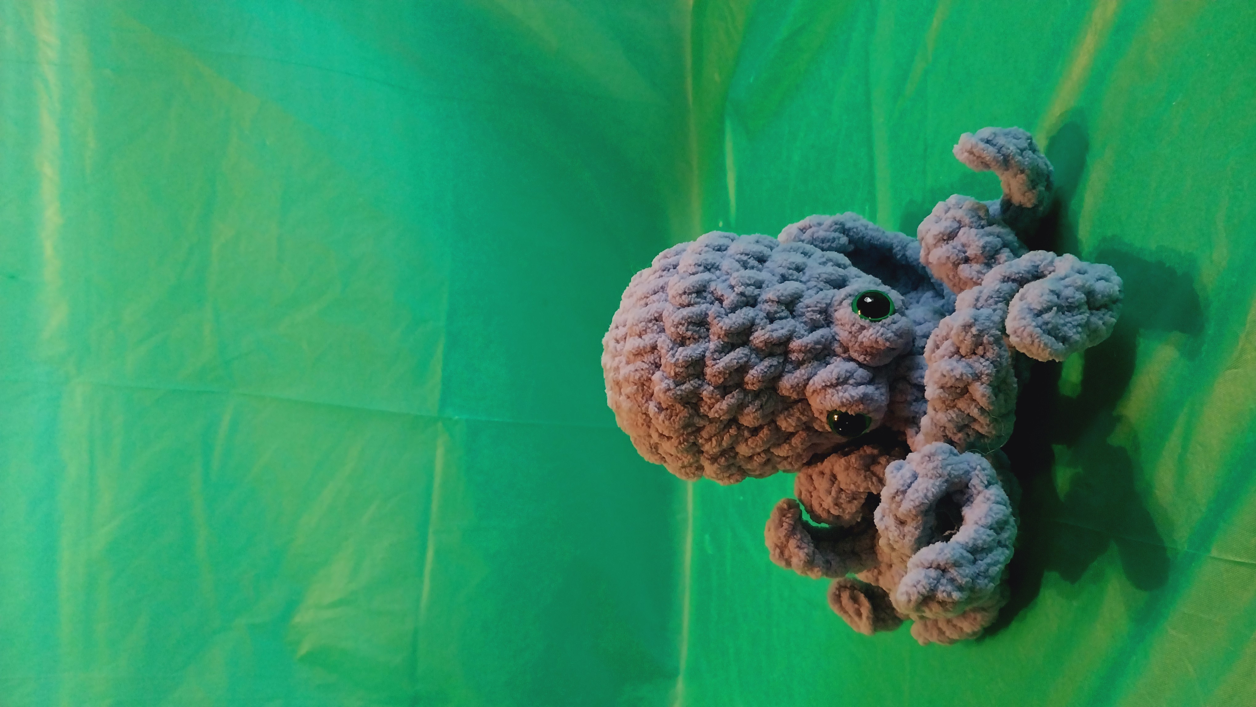 Octopus