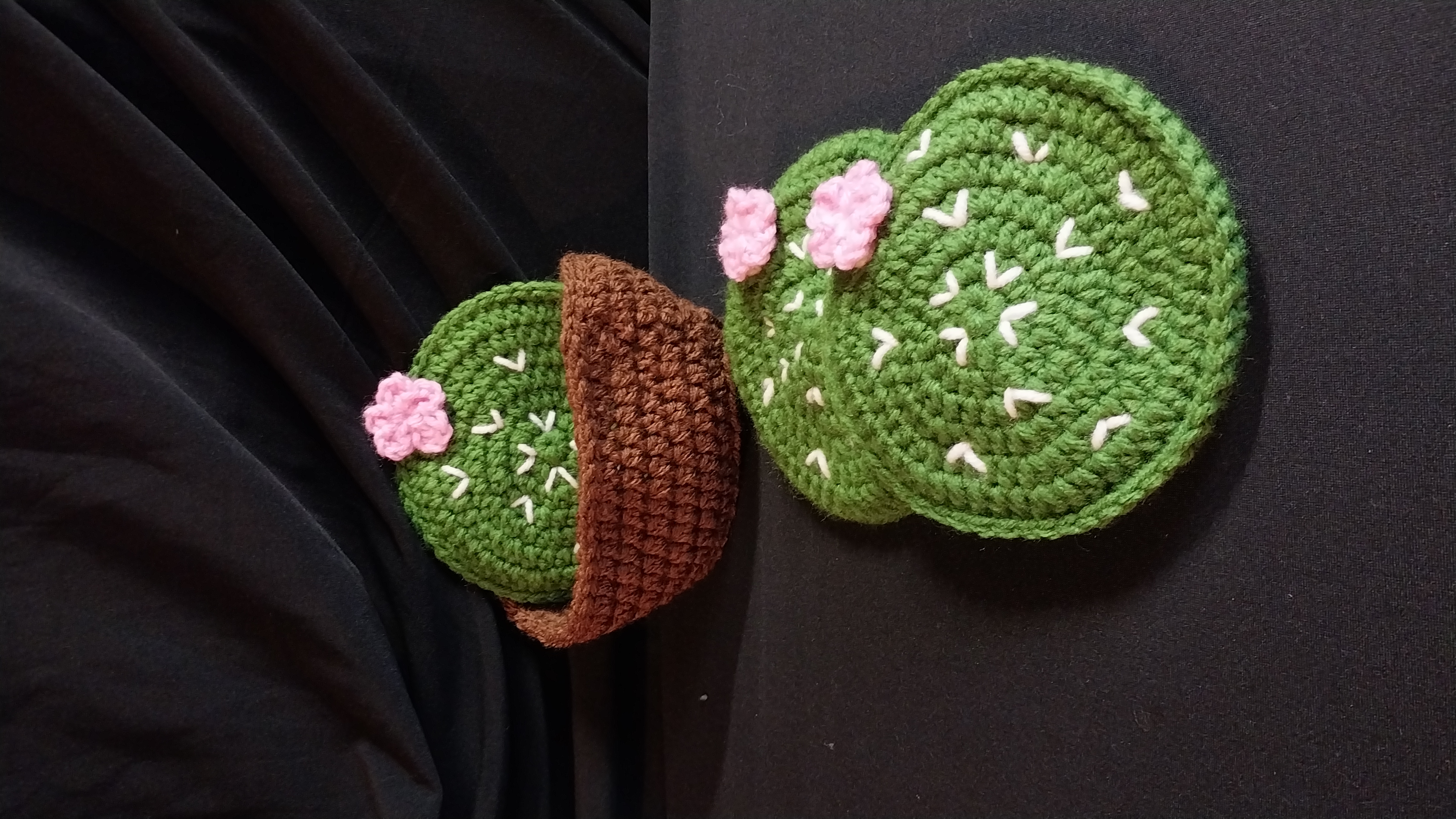 Cactus Coaster Set