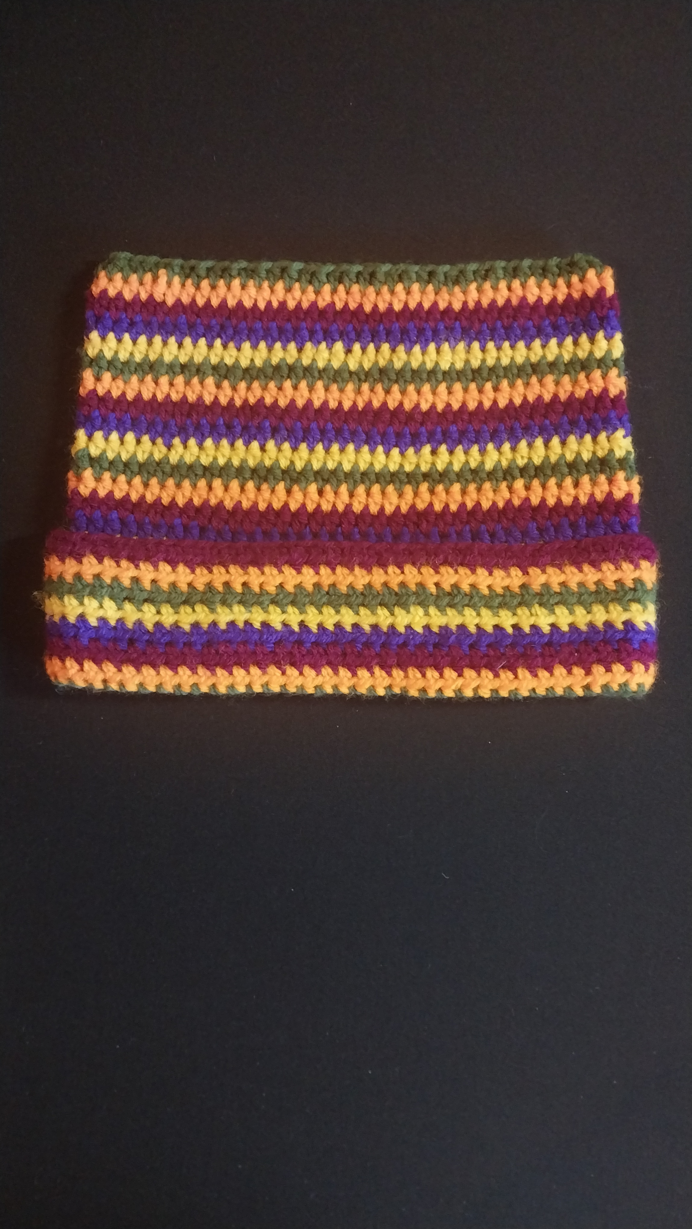 Fall Coloured Cat Beanie