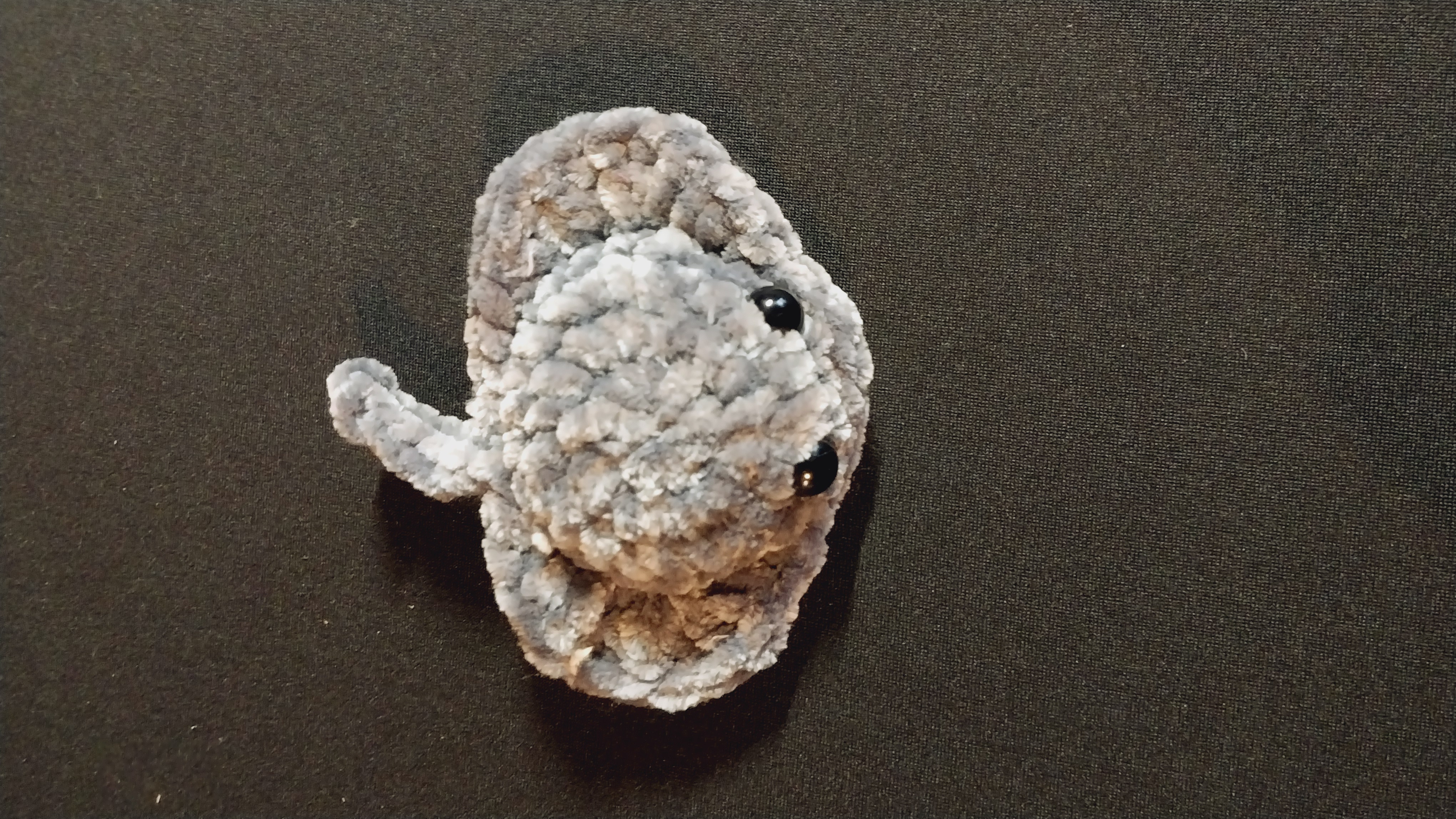 Mini Stingray