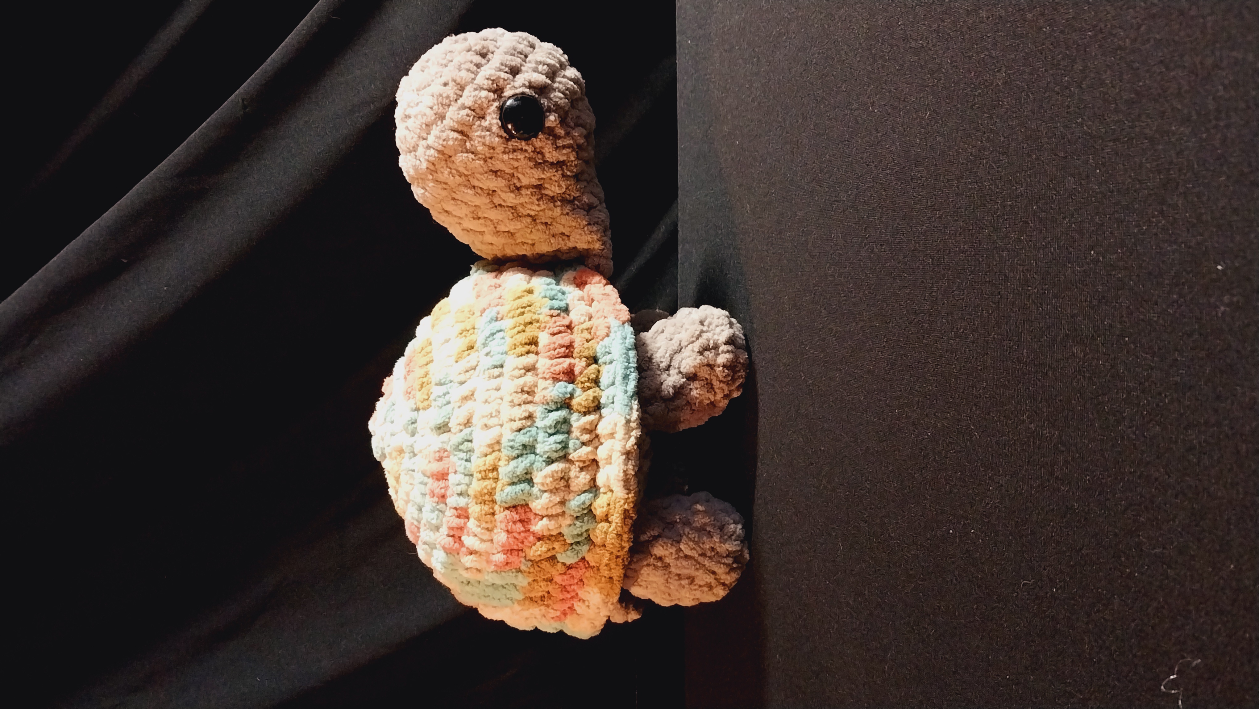 Jumbo Turtle