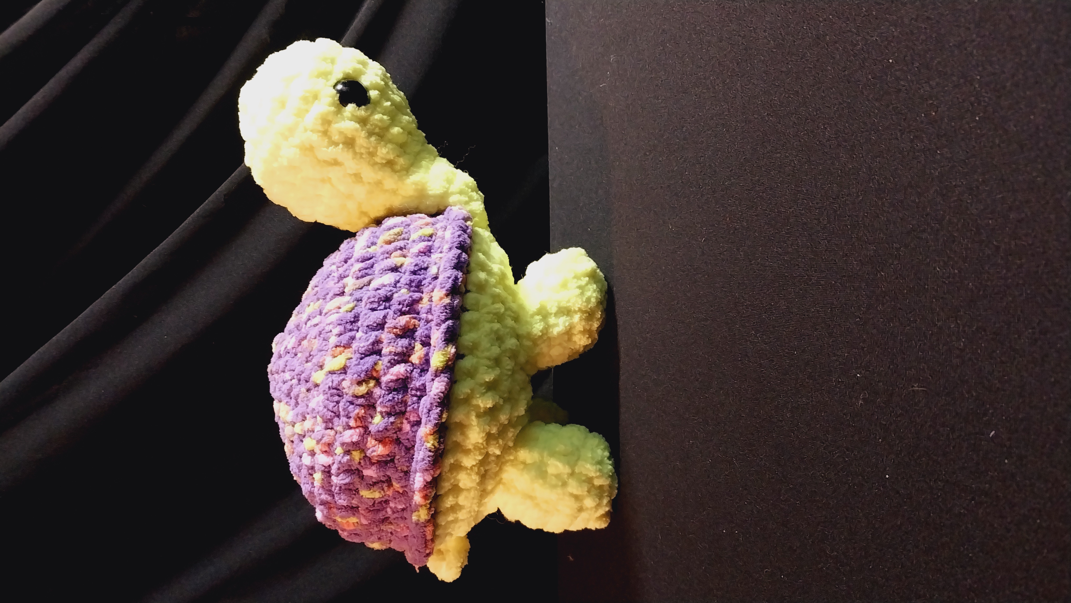 Jumbo Turtle
