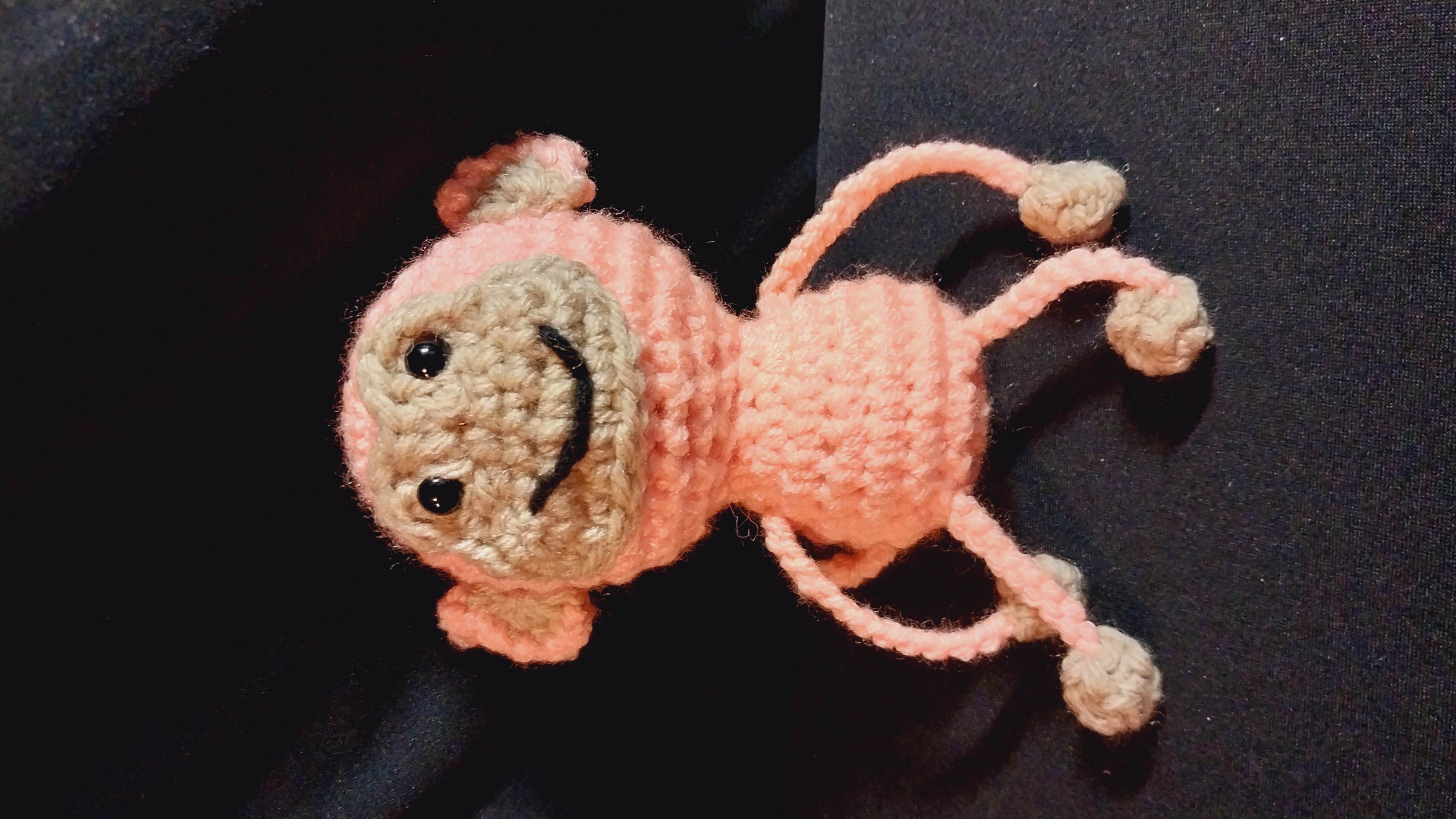 Leggy Monkeys