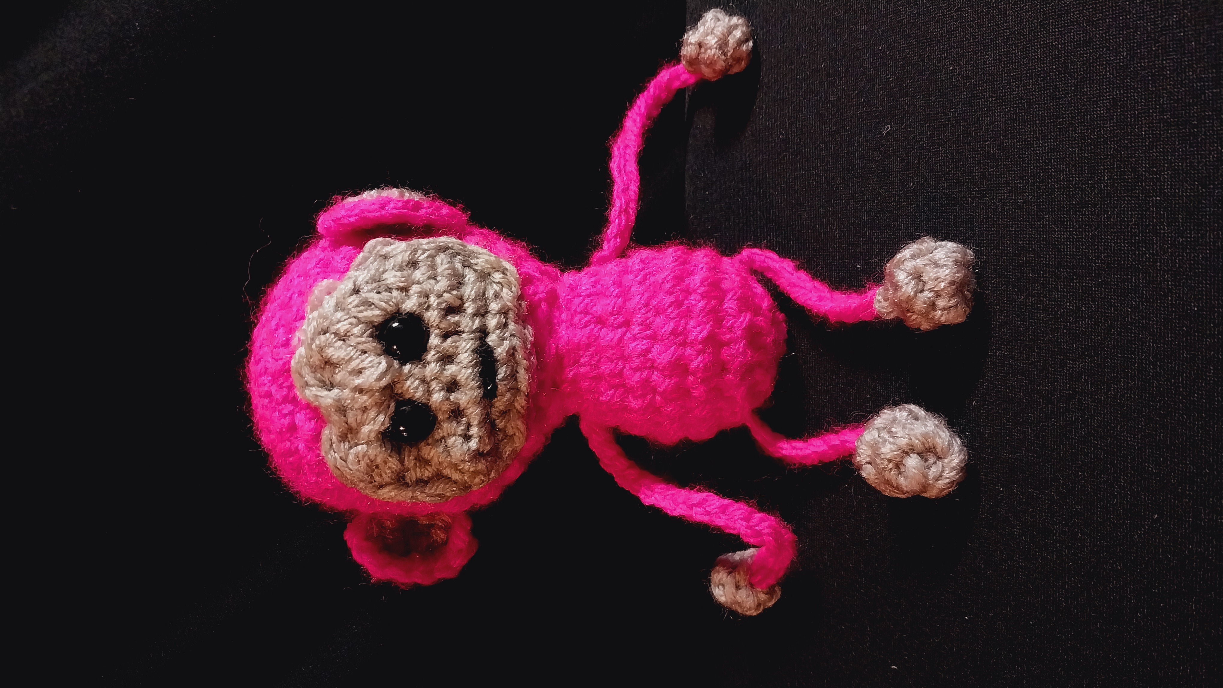 Leggy Monkeys