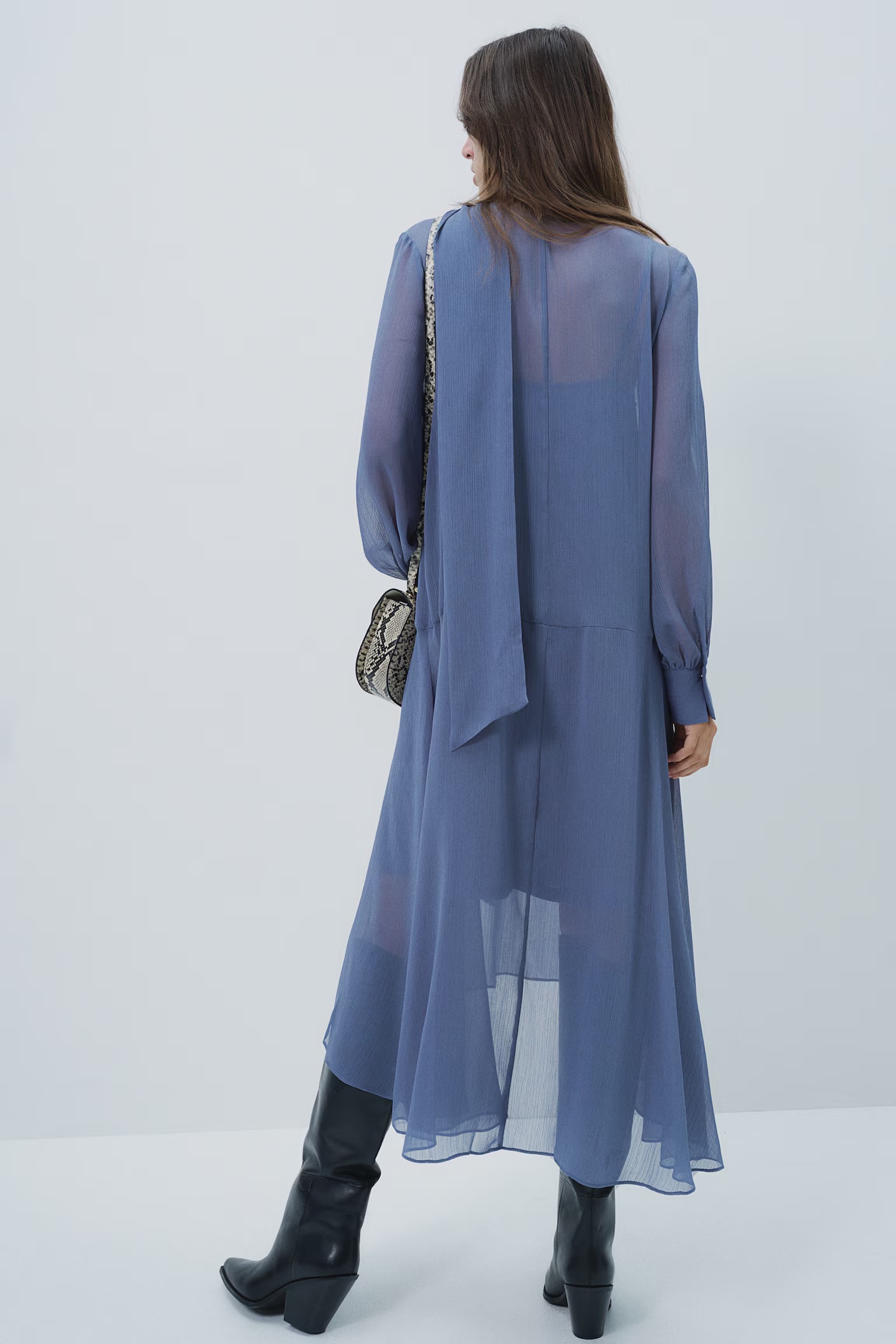 Thin Dress with Lace Collar