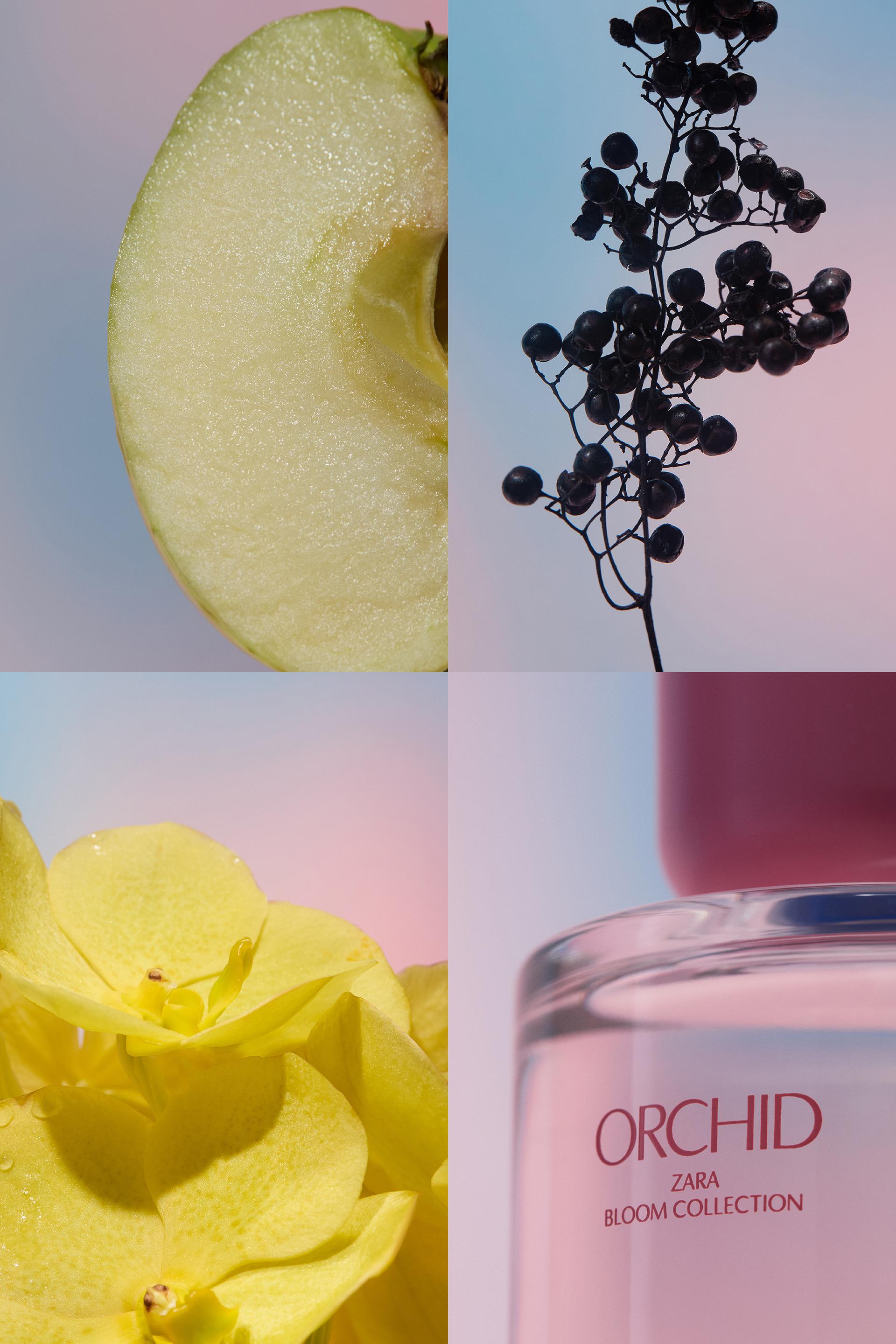 ORCHID EDP 90ML / 3.04 oz