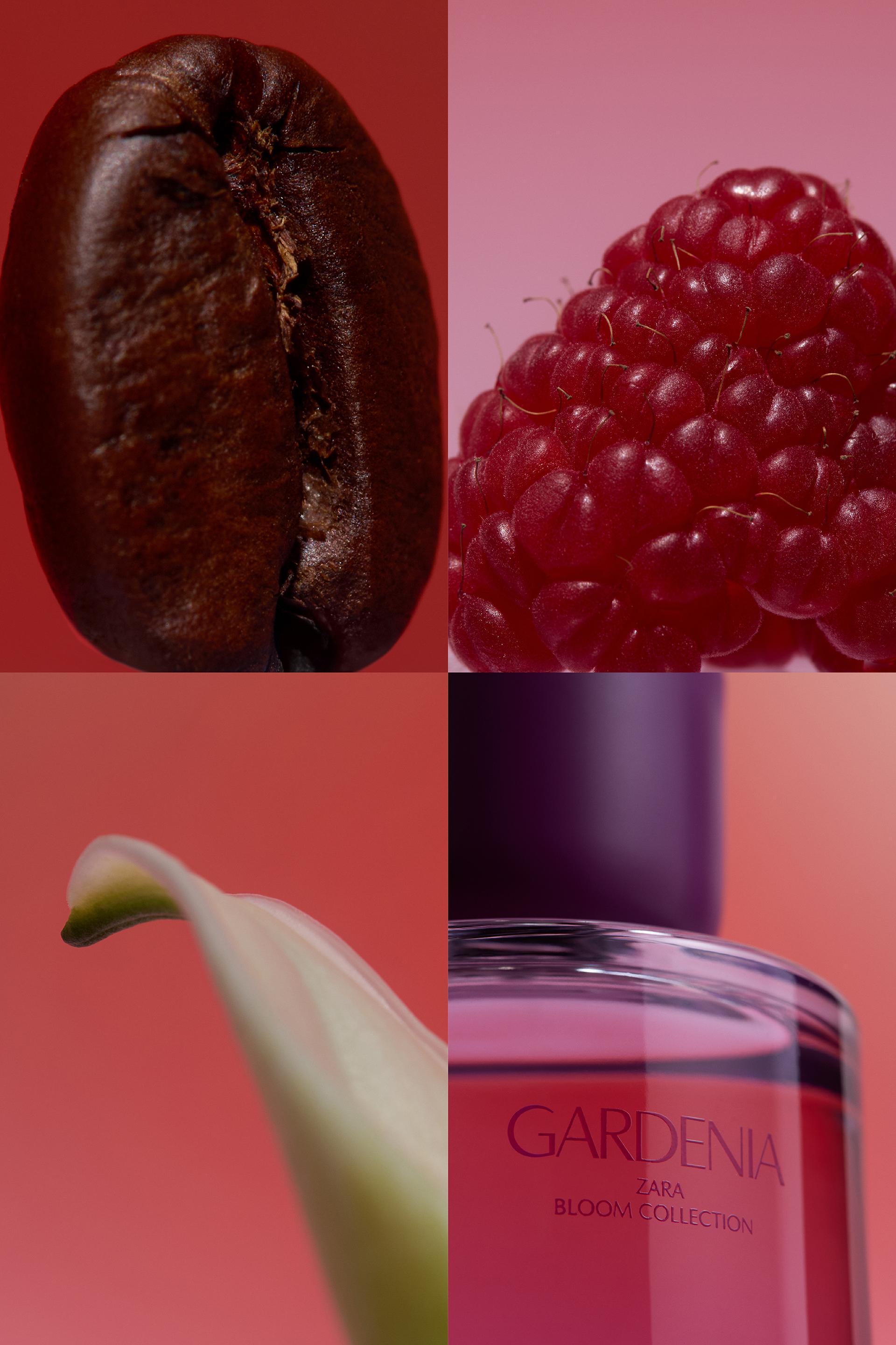 GARDENIA EDP 90ML / 3.04 oz