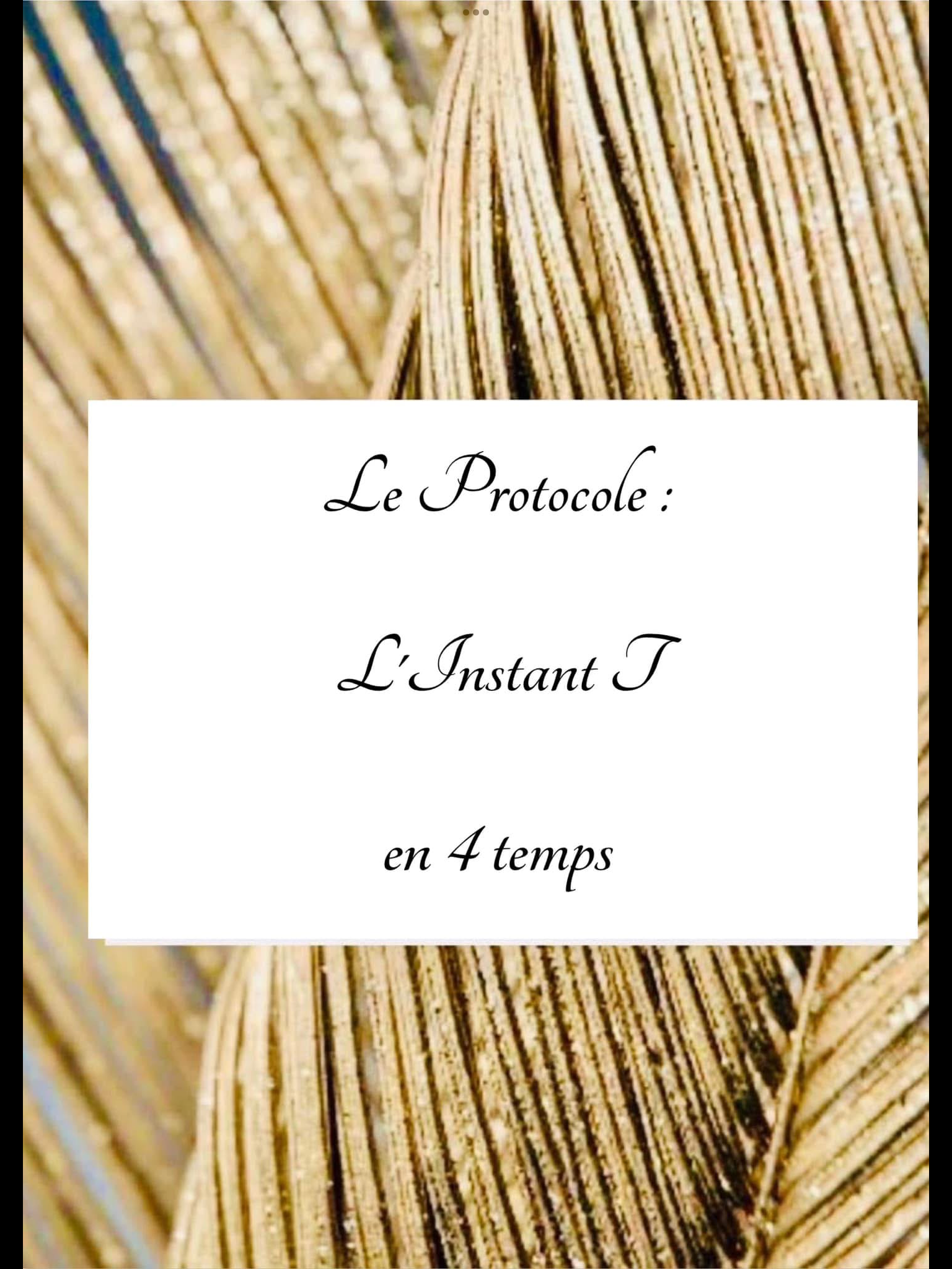 Protocole L’Instant T 