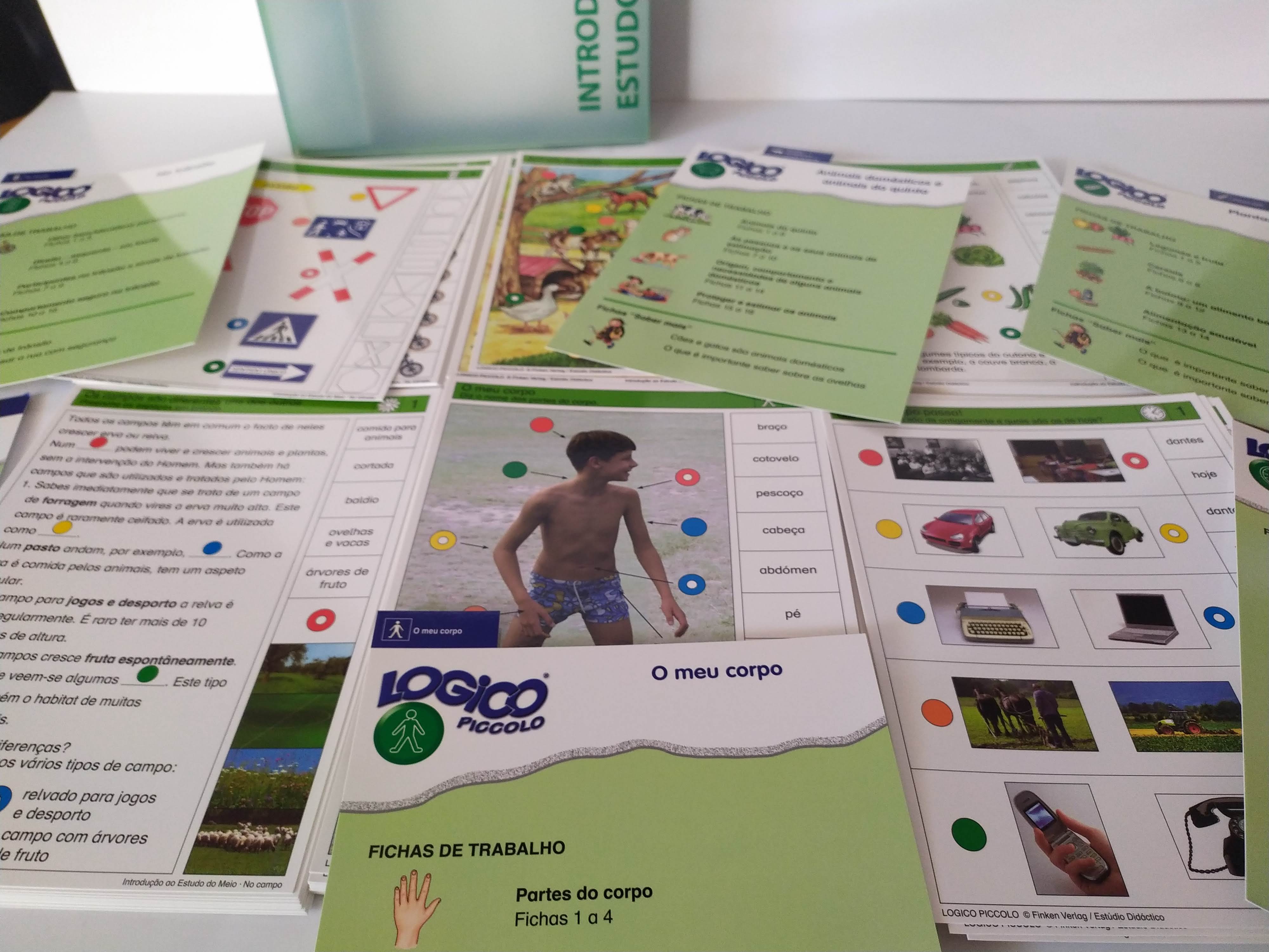 Logico Piccolo - Box Estudo do Meio