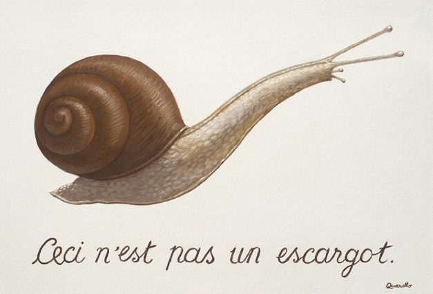 Caderno de animalista