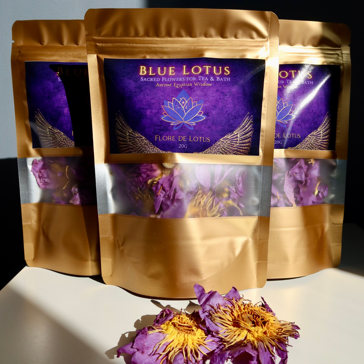 Blue Lotus Flower (Nymphaea caerulea)