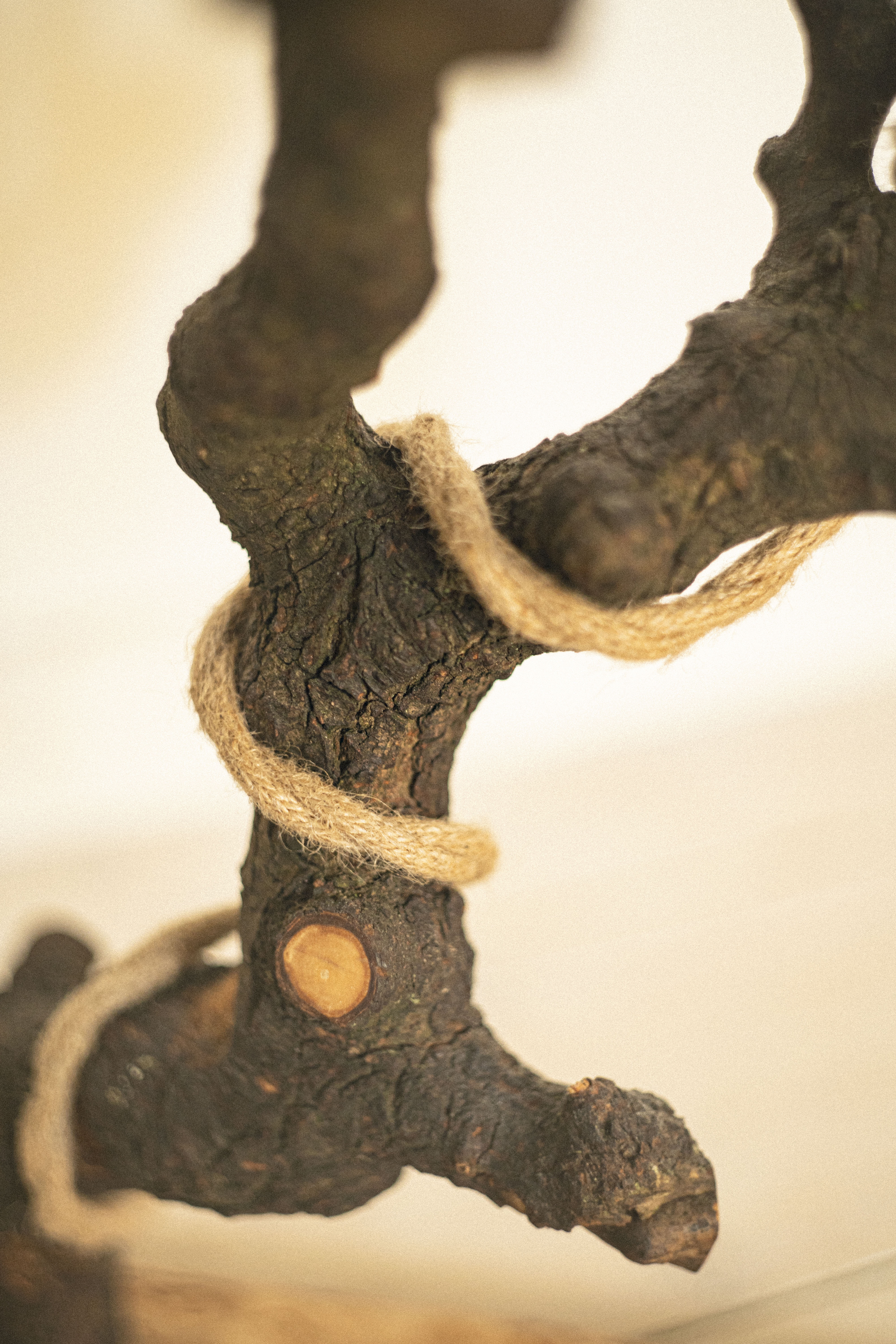 Handmade Wooden Lamp