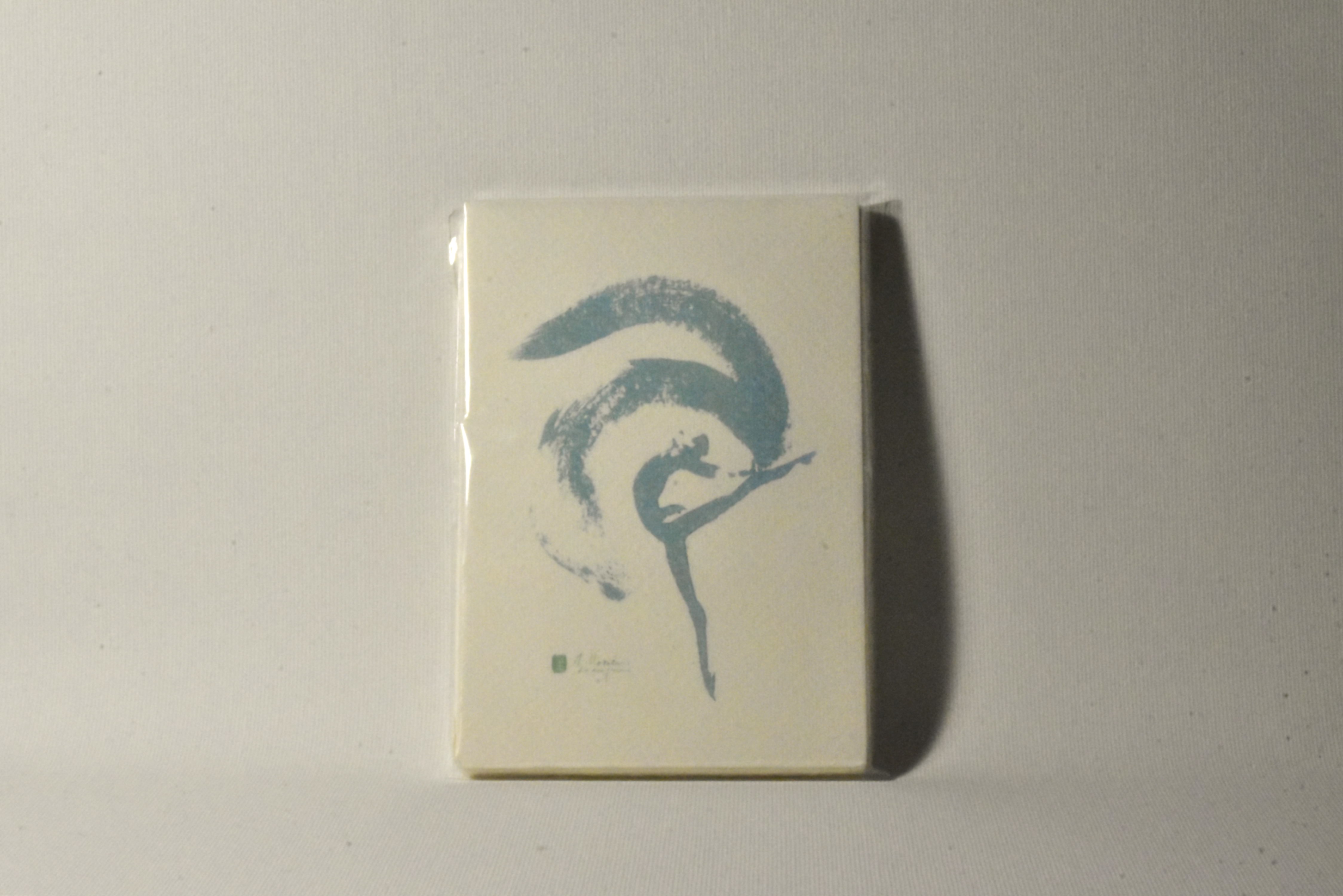 Amatruda Album/Notebook "Dancing Brush" 200 gr/mq