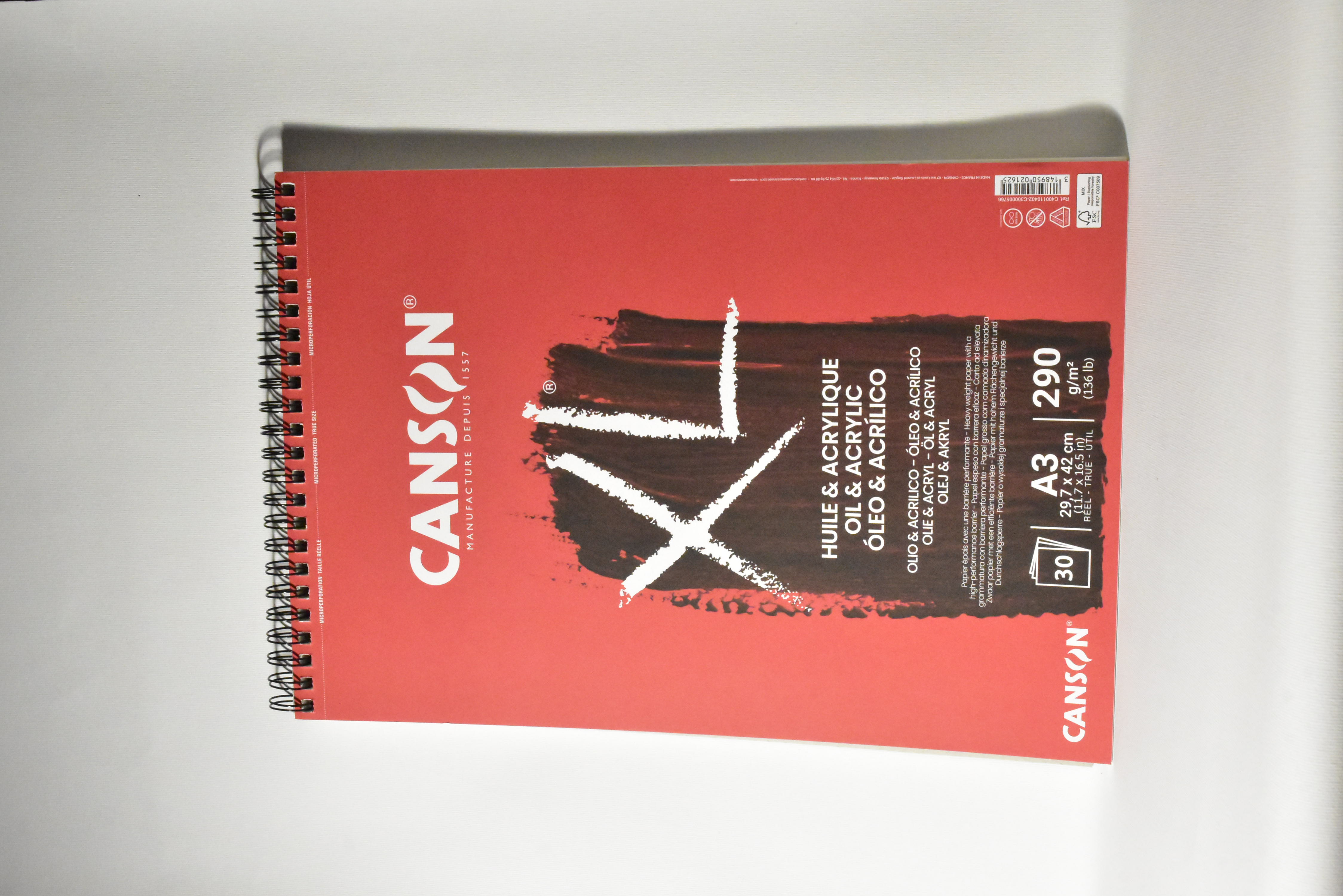 CANSON Album XL olio e acrilico 30F 290G			