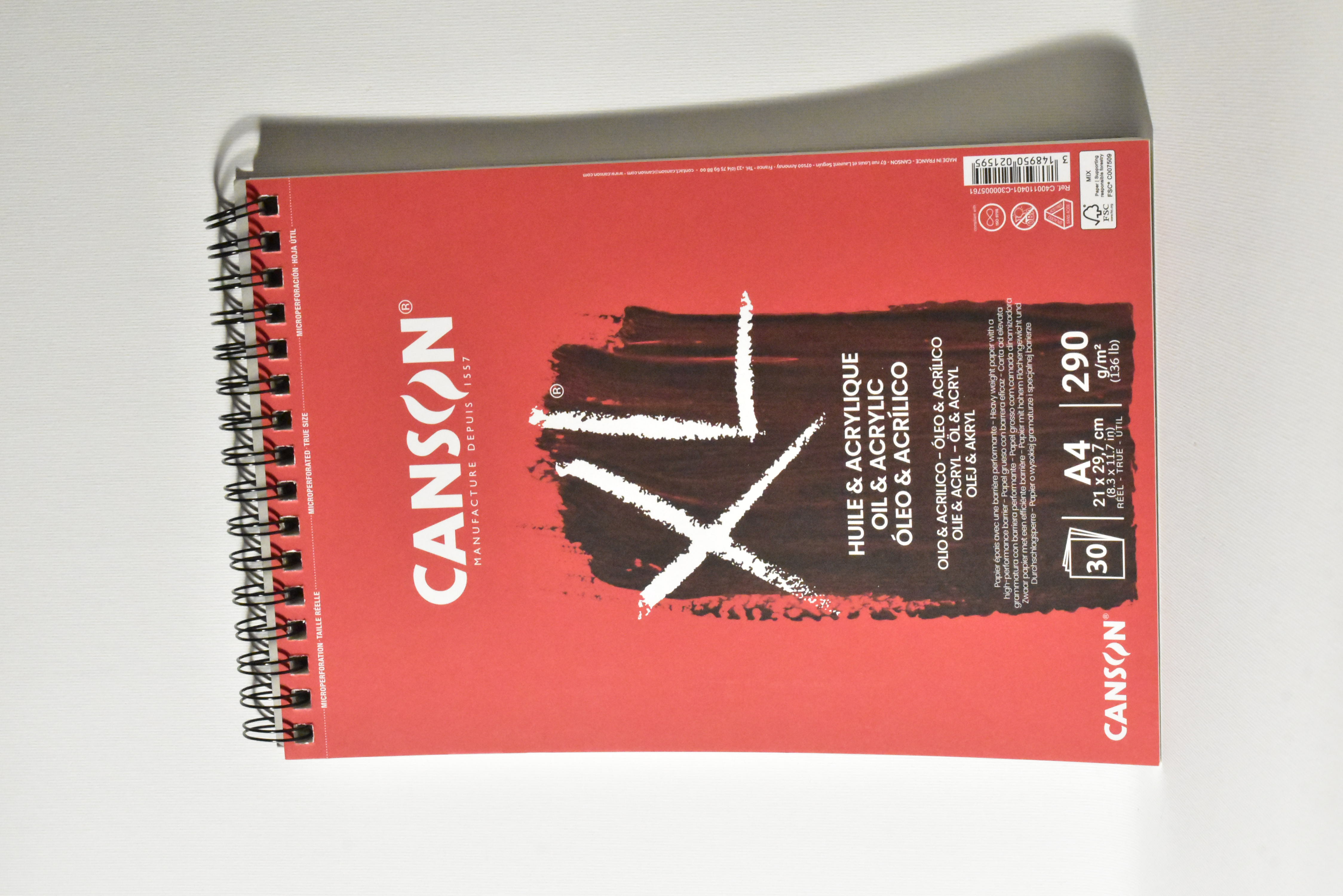 CANSON Album XL olio e acrilico 30F 290G			