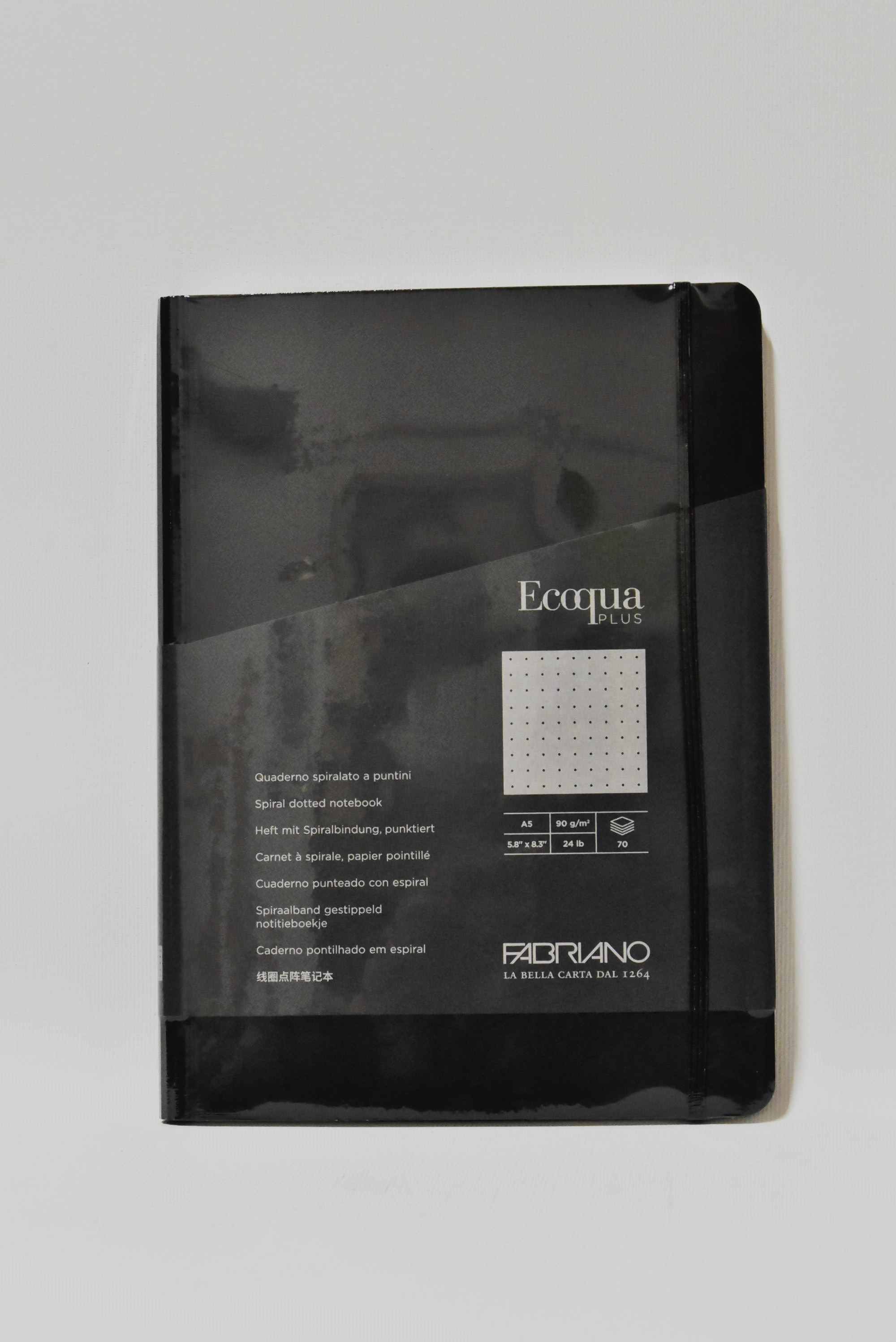 Fabriano Quaderno ECOQUA PLUS spiralato a puntini A5 90 gr