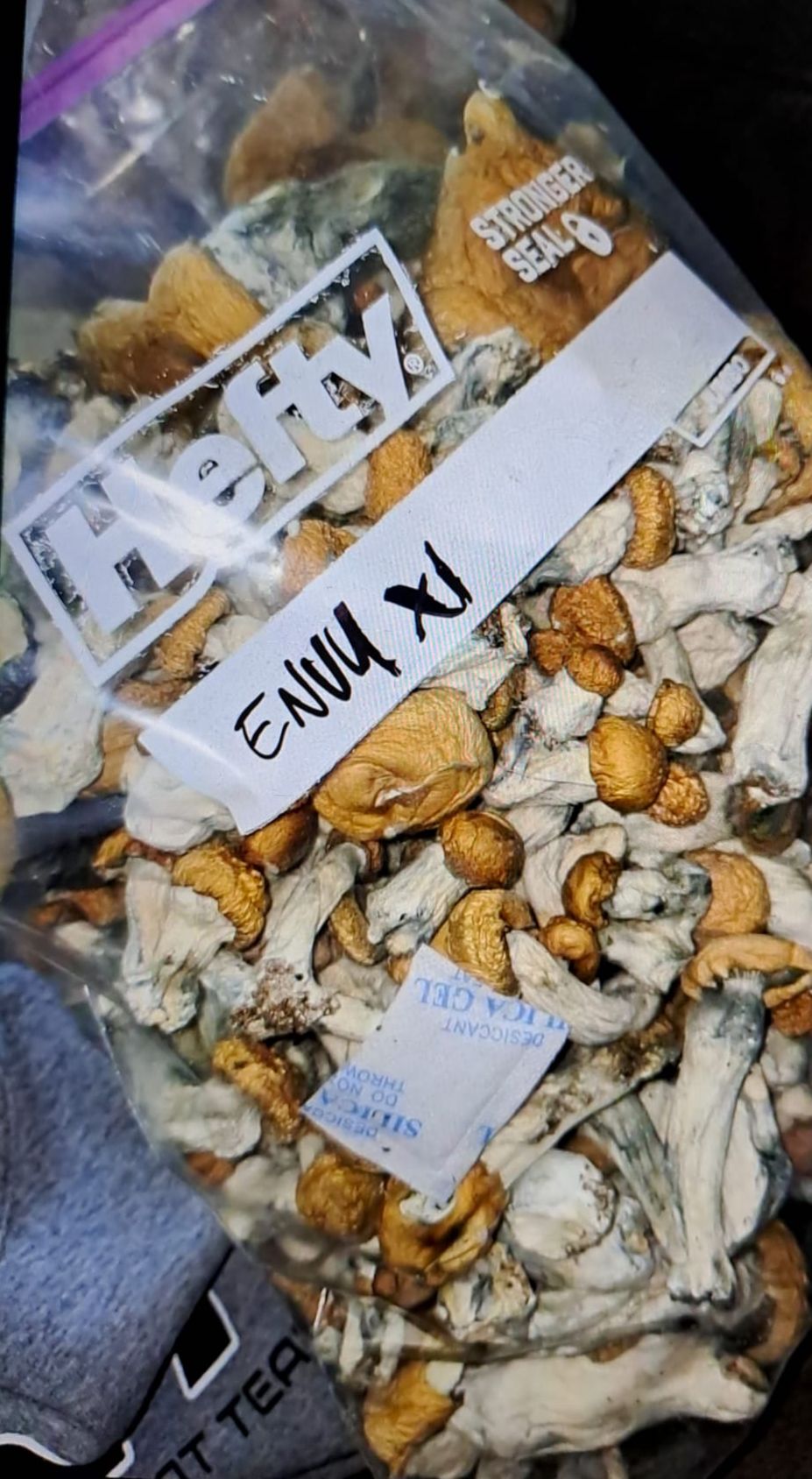 Albino Penis Envy (APE)